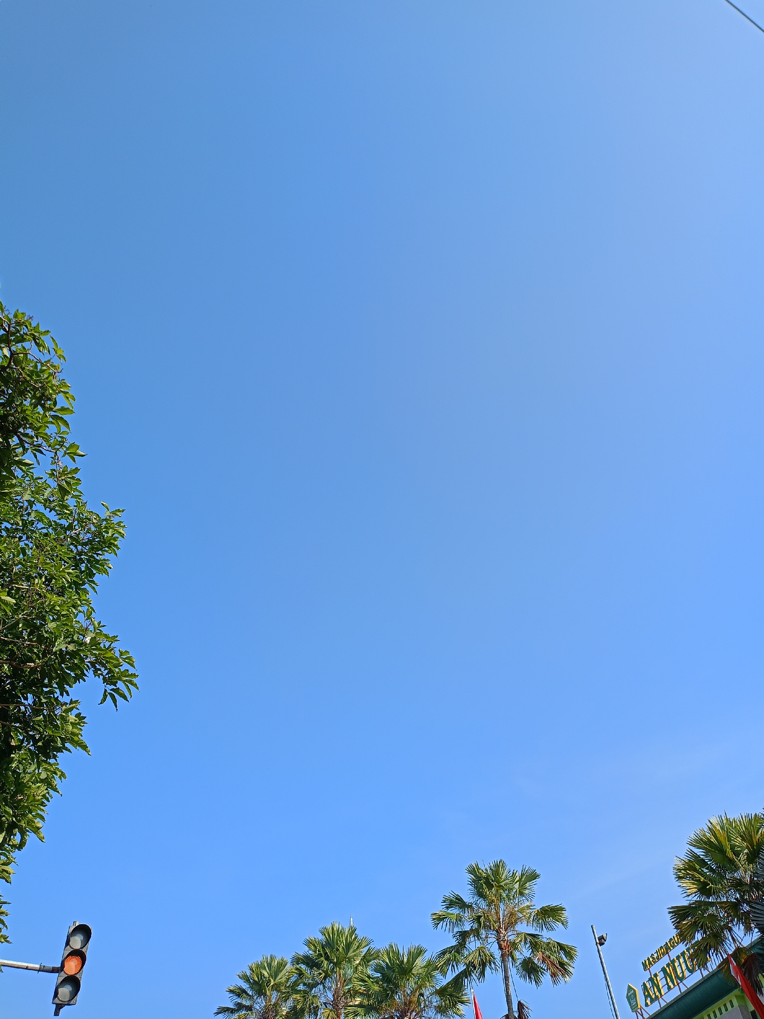 The image captures a bright, clear blue sky over the city of Batu, Indonesia, with elements of urban life and nature visible at the bottom. On the left side of the frame, a traffic light is prominently displayed, with its amber light illuminated, indicating a cautionary signal. Adjacent to the traffic light, the lush green foliage of a tree extends into the upper left corner, its leaves catching the sunlight. Towards the bottom right, several palm trees with their distinctive fronds stand tall against the sky. Behind the palm trees, a building with a sign reading "MASJID AGUNG AN NUR" is partially visible, suggesting the presence of a mosque or a building associated with it. The overall scene conveys a sense of a typical day in a tropical urban environment, characterized by clear skies and a mix of man-made structures and natural vegetation.