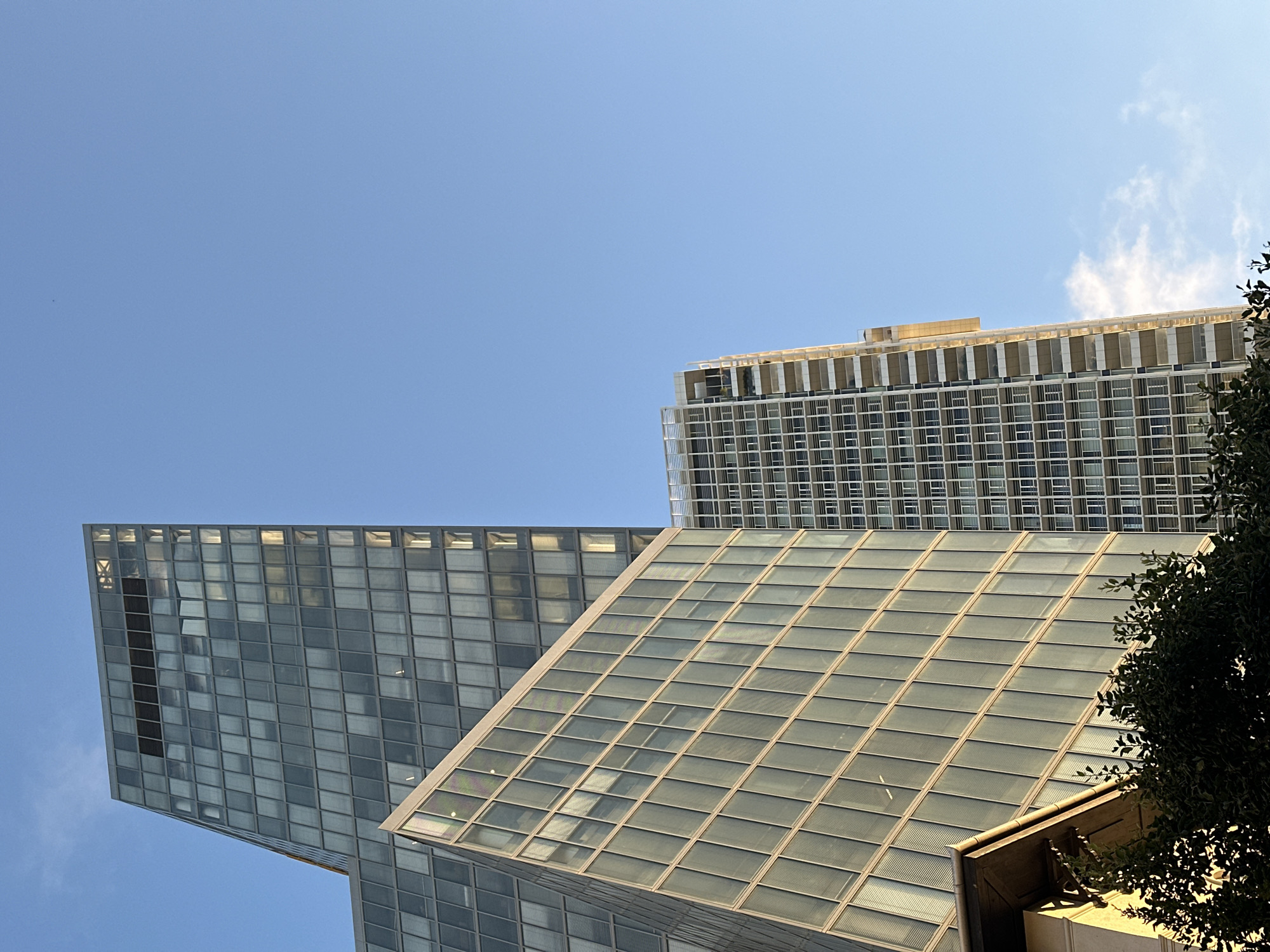 In Tel-Aviv, Israel, a photograph captures a low-angle view of modern skyscrapers against a clear blue sky. The dominant structures are sleek, glass-facade buildings, featuring a repeating pattern of windows and metallic frames. The building on the left, angled and prominent, displays a gradient of light reflecting off its surfaces, with some windows appearing darker than others, suggesting interior lighting or differing shades of glass. Another taller skyscraper rises behind it, its facade also characterized by a grid of windows. To the right, a slimmer, taller building exhibits a more intricate facade with a higher density of windows and visible balconies. The lower part of the image is partially obscured by the dark green foliage of trees, which are silhouetted against the bright facades. A small, wispy cloud is visible in the sky to the right of the tallest building.