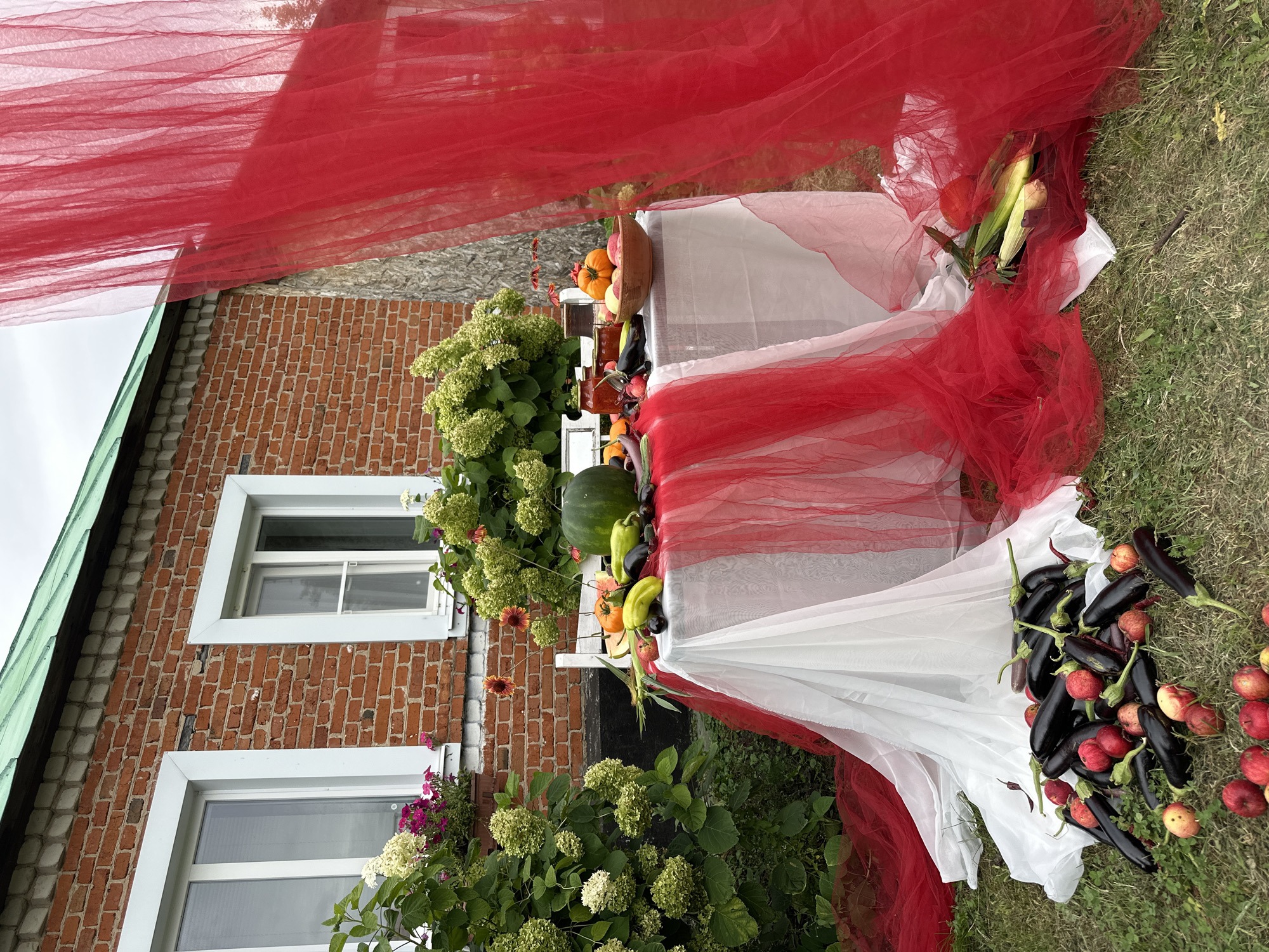 A still life composition is set up outdoors in front of a brick building with white-trimmed windows and a green roof. A white table is draped with flowing white and red tulle fabric, creating a dramatic visual. On the table, a variety of fresh produce is arranged, including a large watermelon, several bell peppers, eggplants, tomatoes, and a small pumpkin. In front of the table, a pile of eggplants and apples rests on the grass. To the right of the table, more produce, including corn on the cob, is visible, partially obscured by the red tulle. The setting appears to be a garden or yard, with greenery and some flowers visible in the background. The location is identified as Verkhneye Kazachye, Russia. There are no people or animals present in the scene.