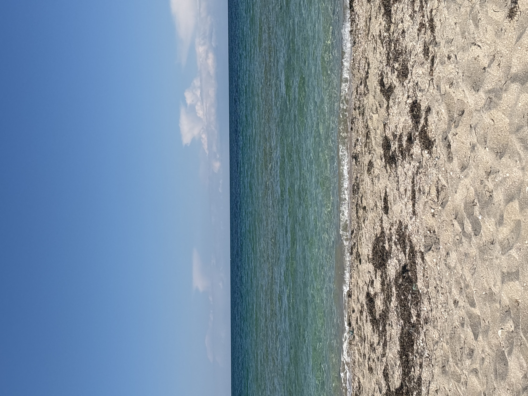 The image shows a beach scene in Chornomorskoe, Ukraine. The photograph is vertically oriented. The left portion of the image displays a clear blue sky with a few white clouds. The central portion shows the sea with a slight gradient of color, transitioning from darker blue to lighter turquoise. The right side features the sandy beach, marked with dark seaweed along the shoreline. The sand appears slightly damp near the water's edge. There are no people visible in the frame.