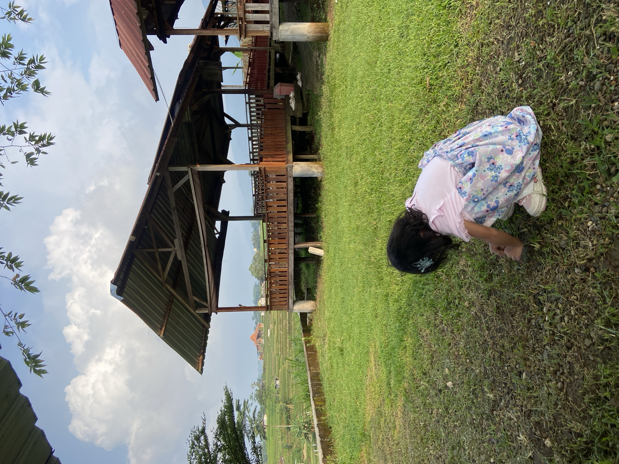 A young girl is crouching down on a grass lawn in Penanggungan, Indonesia. She is wearing a light pink top and a light blue floral print dress. She has dark hair with a decorative hair clip. She is looking at something on the grass, possibly picking it up with her hand. Behind her is a wooden, multi-level structure with a tin roof. In the background, there is a rice field and distant buildings under a cloudy sky.