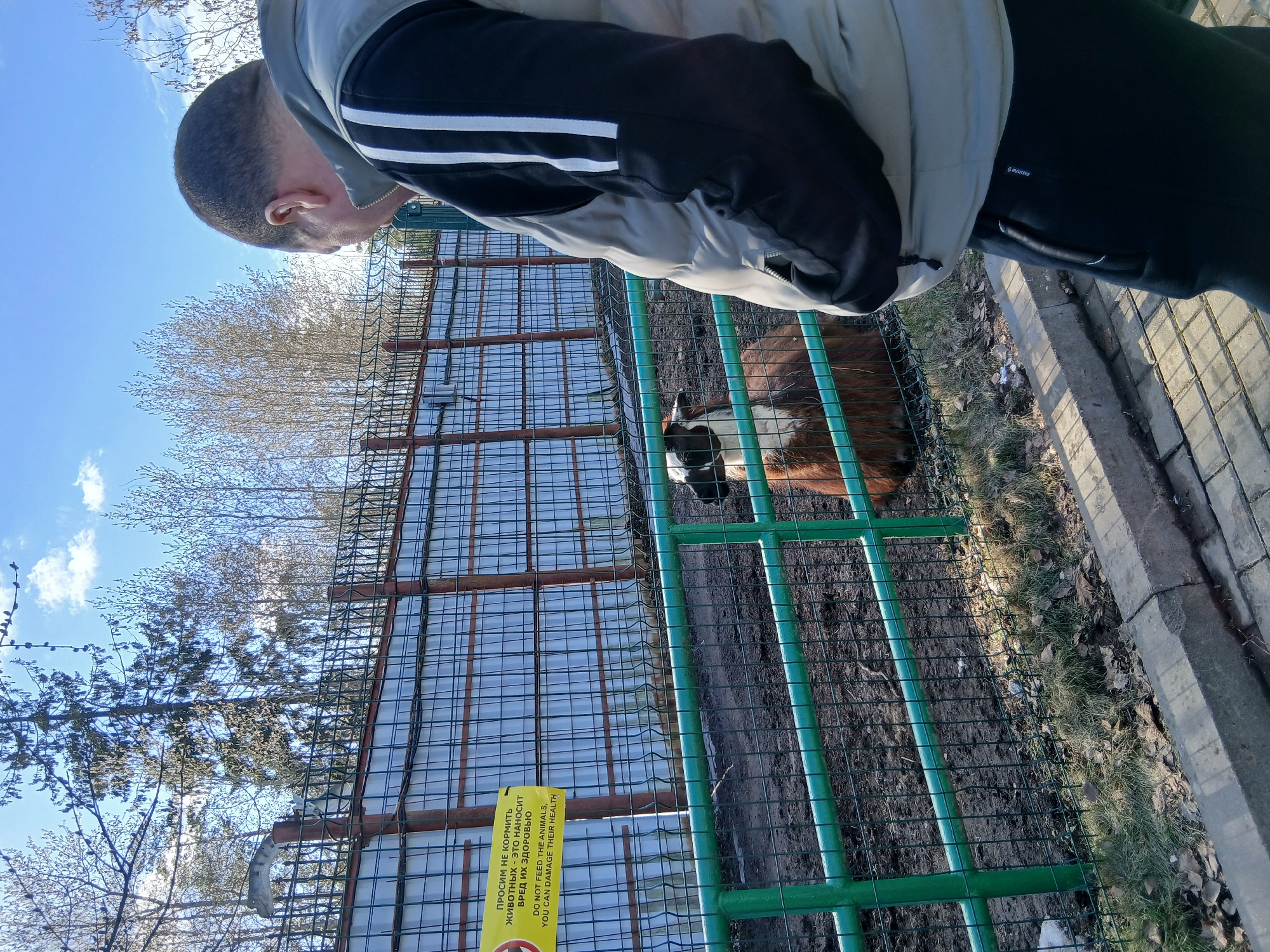 A man is looking at a goat in a fenced enclosure, likely at a zoo or animal park in Izhevsk, Russia. The man is wearing a light-colored jacket over a black jacket with white stripes on the sleeves, and black pants. The goat has brown and white fur. A yellow sign is attached to the fence with a warning in both Russian and English, "DO NOT FEED THE ANIMALS, YOU CAN DAMAGE THEIR HEALTH." Trees and a blue sky are visible in the background. A paved walkway is alongside the fence.