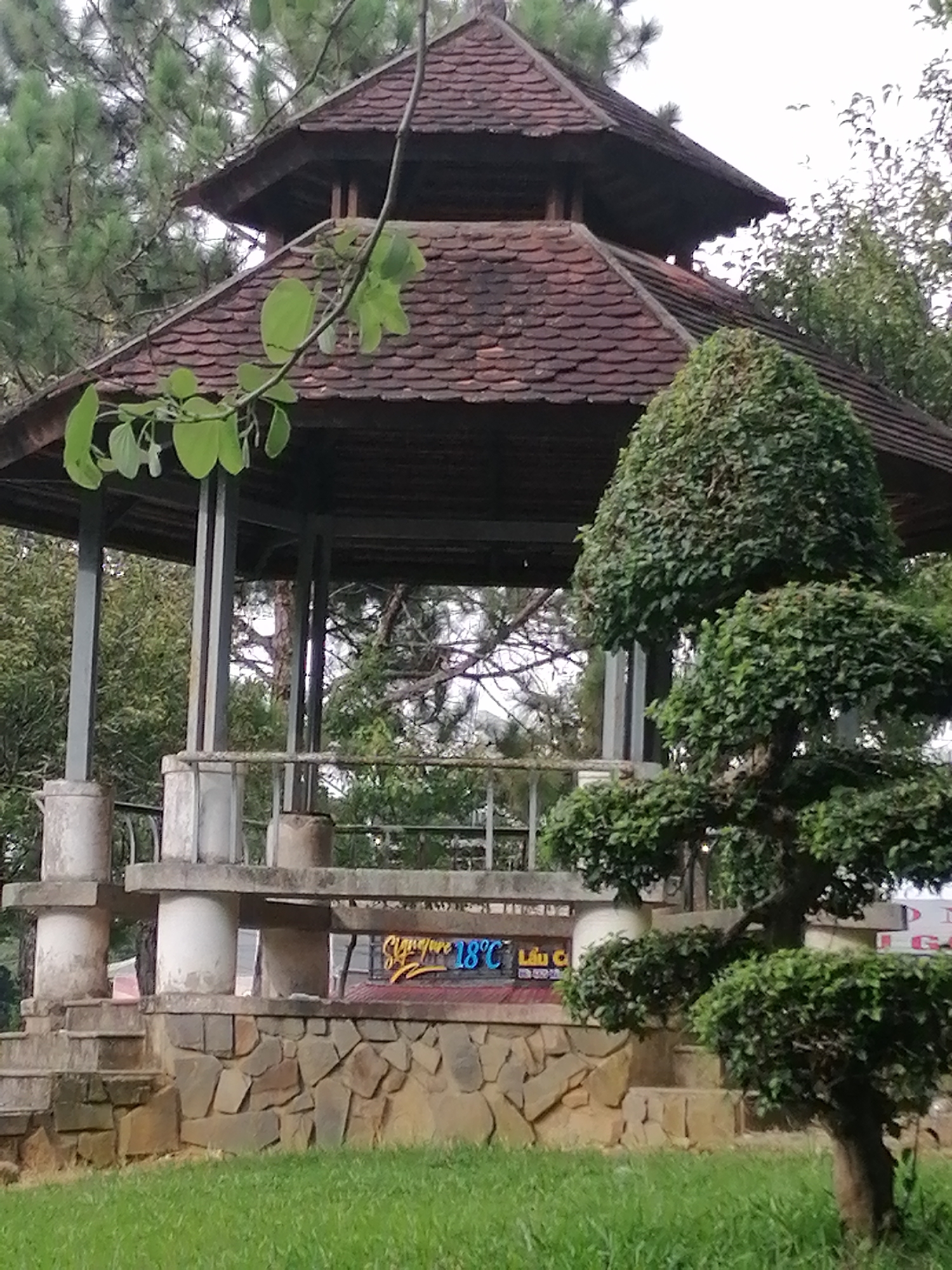 The image depicts a traditional gazebo with a multi-tiered, tiled roof, set amidst lush greenery. The structure is supported by grey pillars and features a stone base with a rustic texture. In the foreground, a meticulously shaped bonsai tree stands to the right, its intricate branches adorned with small green leaves. Behind the gazebo, a sign with neon blue text reading "18°C" is partially visible, suggesting a cool climate. The background consists of dense foliage, including pine trees, and a hazy sky. The scene appears to be a tranquil outdoor setting, possibly a park or a garden, with the possibility of the sign indicating a location in Dalat, Vietnam, known for its cool temperatures and abundant natural beauty. No people are present in the image.