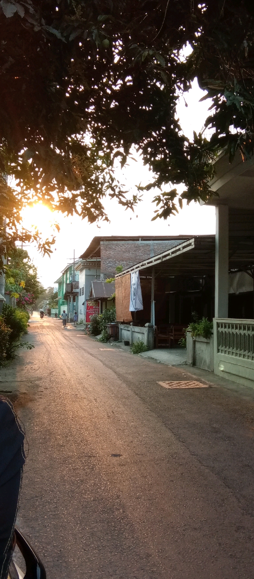 This is a photograph taken from eye level, looking down a paved road in a residential area, likely in the city of Kediri, Indonesia, during the late afternoon or early evening. The sun is low in the sky, casting long shadows and a warm, golden light across the scene, filtered through the leaves of a large tree in the foreground, which partially obscures the sky.
The road is asphalt and shows some signs of wear, with tire tracks and patches of gravel. The left side of the road features a row of houses and vegetation, including flowering plants with pink and yellow blossoms. A motorcycle is parked on the far left, partially visible in the foreground. Further down the road, two individuals are walking, one possibly riding a bicycle.
The right side of the road is lined with buildings and a fence. One building appears to be a shop or restaurant with an open-air seating area, covered by a corrugated metal roof. A white banner with some text is hanging on the side of this building. There is a concrete railing and a metal fence in front of this structure.
The overall impression is one of a quiet, everyday scene in a tropical urban environment as the day winds down. The light quality suggests a warm climate, and the architecture of the buildings is consistent with Southeast Asian residential areas.