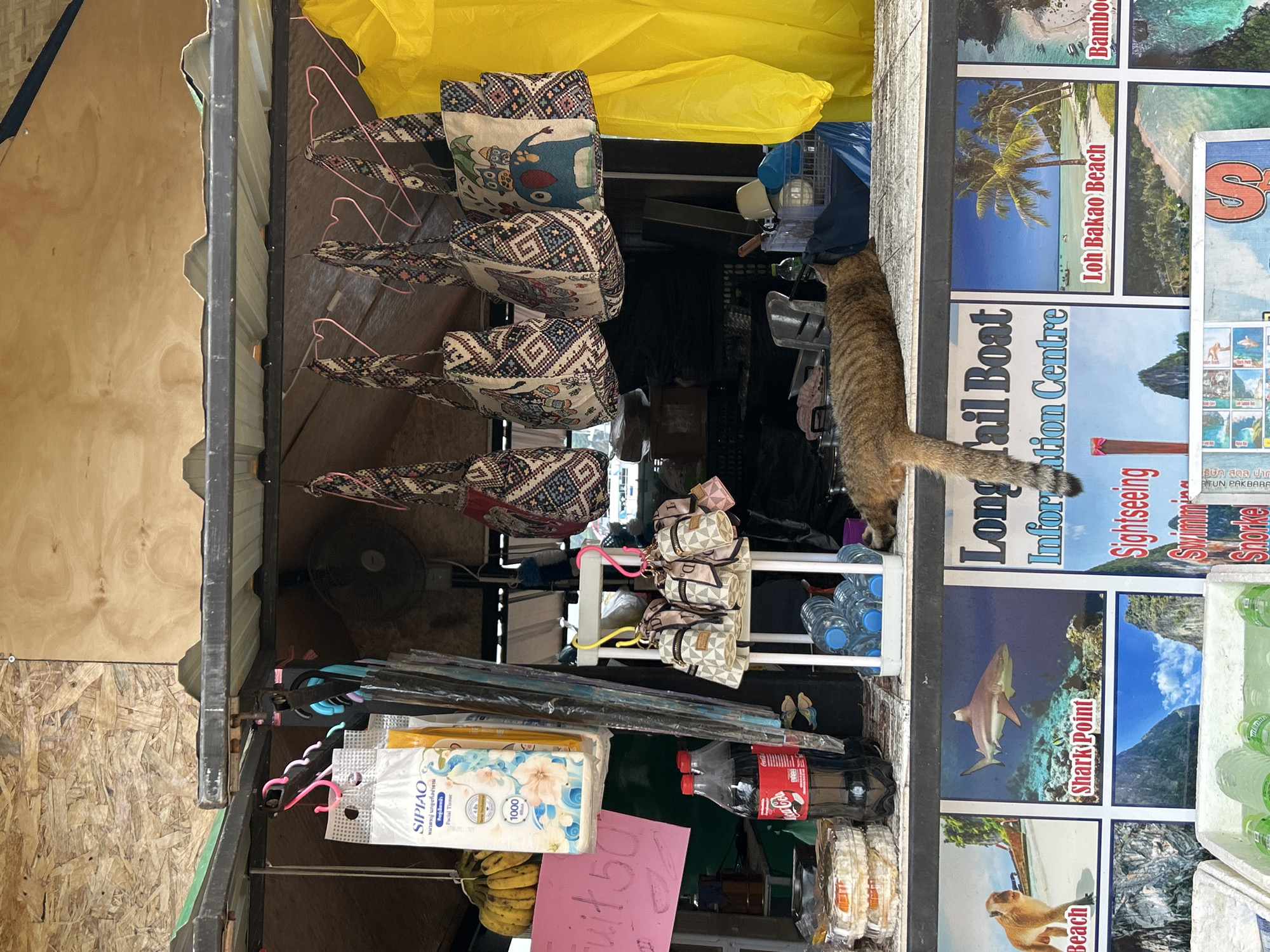 A tabby cat sleeps on a shelf in a small open-air stall in Ao Nang, Thailand, in front of various tourist information posters. The stall displays bags hanging from hooks, tissue packets, bottles of Coca-Cola, and stacks of what appear to be crackers or snacks. Behind the stall, a yellow tarp is visible, and a black fan is mounted on the back wall. The posters below the stall show images of beaches, a shark, and a monkey, with text such as "Shark Point," "Loh Bakao Beach," and "Sightseeing." The ground area is not visible.
