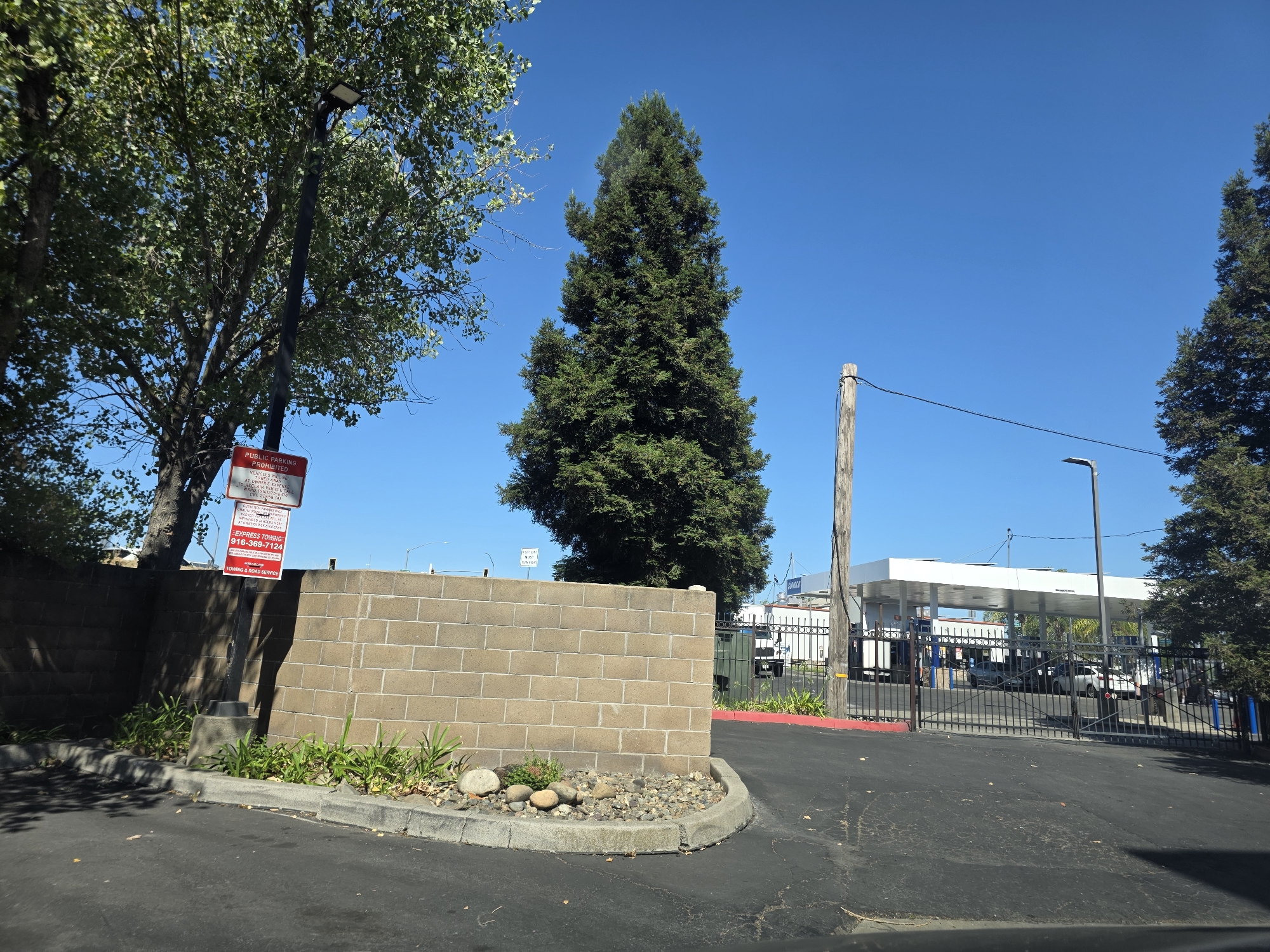 The image depicts a scene in West Sacramento, California, USA, on a clear, sunny day. In the foreground, a paved asphalt surface, likely a road or parking lot, is visible. To the left, a low, textured brick wall runs along the edge of the paved area. A small patch of greenery with scattered rocks and pebbles is planted in front of the wall. A tall, dark tree with dense green foliage stands behind the wall, and to its left, a street lamp with a rectangular light fixture extends upwards.
Further back, a very tall, conical evergreen tree dominates the center of the frame, its dark green needles contrasting with the bright blue sky. To the right of this tree, a weathered wooden utility pole stands with a dark wire strung between it and a distant pole. Beyond the brick wall and evergreen tree, a white-canopied structure, likely a gas station canopy, is visible with several cars and possibly a truck underneath. A black metal gate encloses the area behind the canopy. The environment suggests a commercial or industrial area with some landscaping. Two red and white signs are mounted on a metal pole attached to the brick wall.