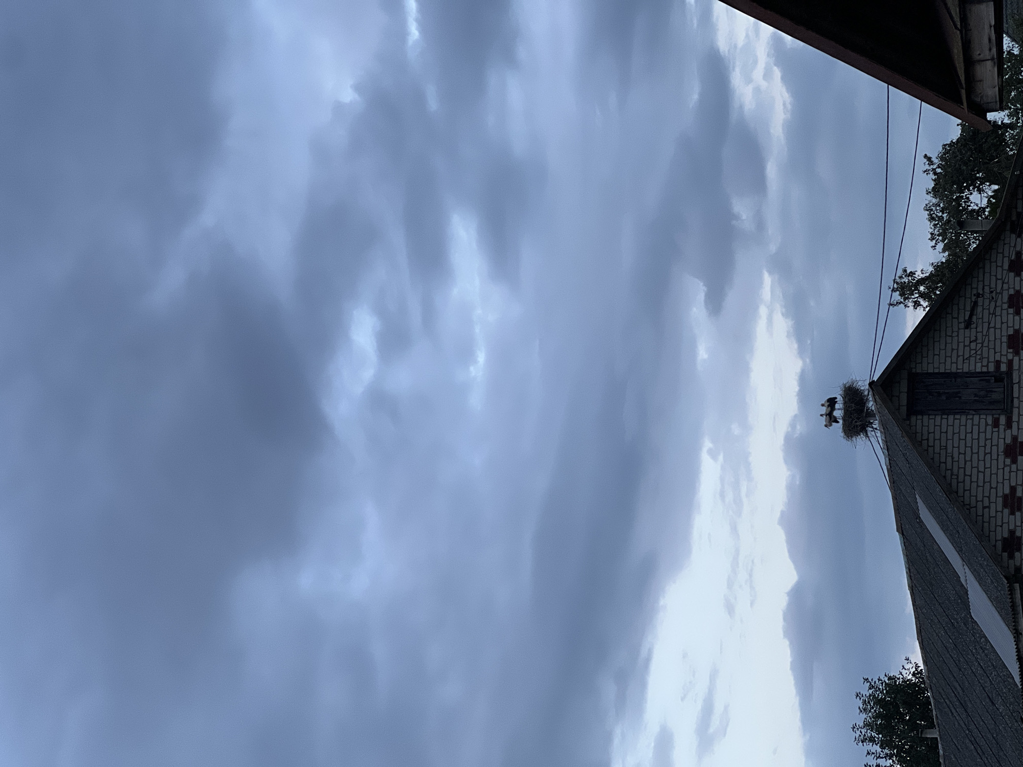 In Бучацінскі сельскі Савет, Belarus, a dark, cloudy sky looms over a rooftop where three storks are perched in a large nest. The nest is situated atop a structure resembling a utility pole or a makeshift support on the pitched, grey roof of a brick building. The building's facade is visible, constructed with light-colored bricks. To the left of the main building, a portion of another roof, covered with dark grey material, is visible. Trees with dense foliage flank the buildings. The overall atmosphere is somber, possibly indicating approaching inclement weather.