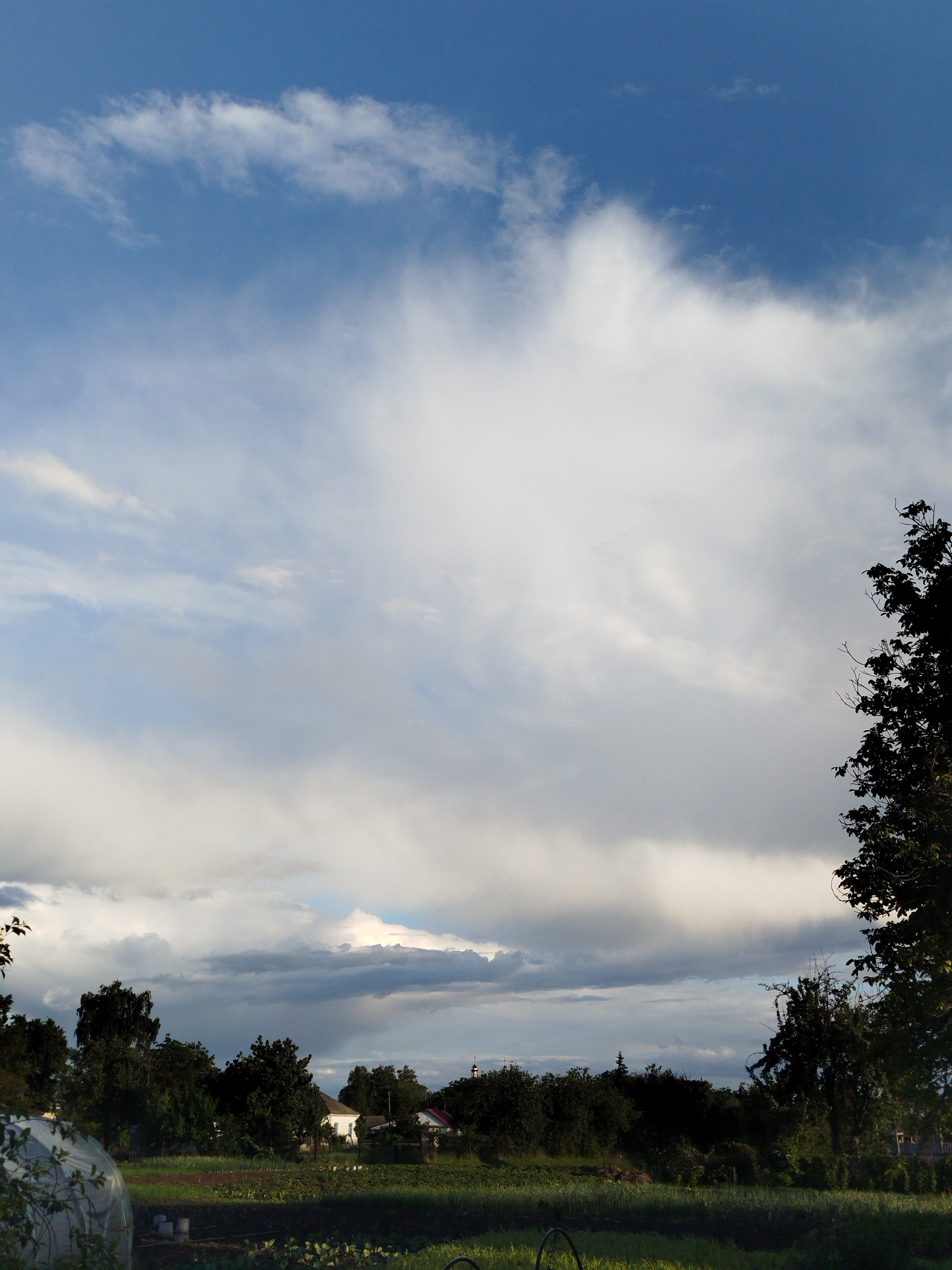 The image shows a rural landscape in Ustyvytsia, Ukraine, dominated by a cloudy sky. A portion of the sky is a clear blue. Below the clouds, a line of trees and vegetation marks the horizon. The crowns of the trees are dense and dark. A few buildings, including a white house, are visible among the trees. In the foreground, a green field extends towards the viewer. A greenhouse or polytunnel structure is also partially visible in the lower-left corner. A tree with dark, silhouetted branches occupies the right side of the frame. The overall atmosphere is one of impending weather.