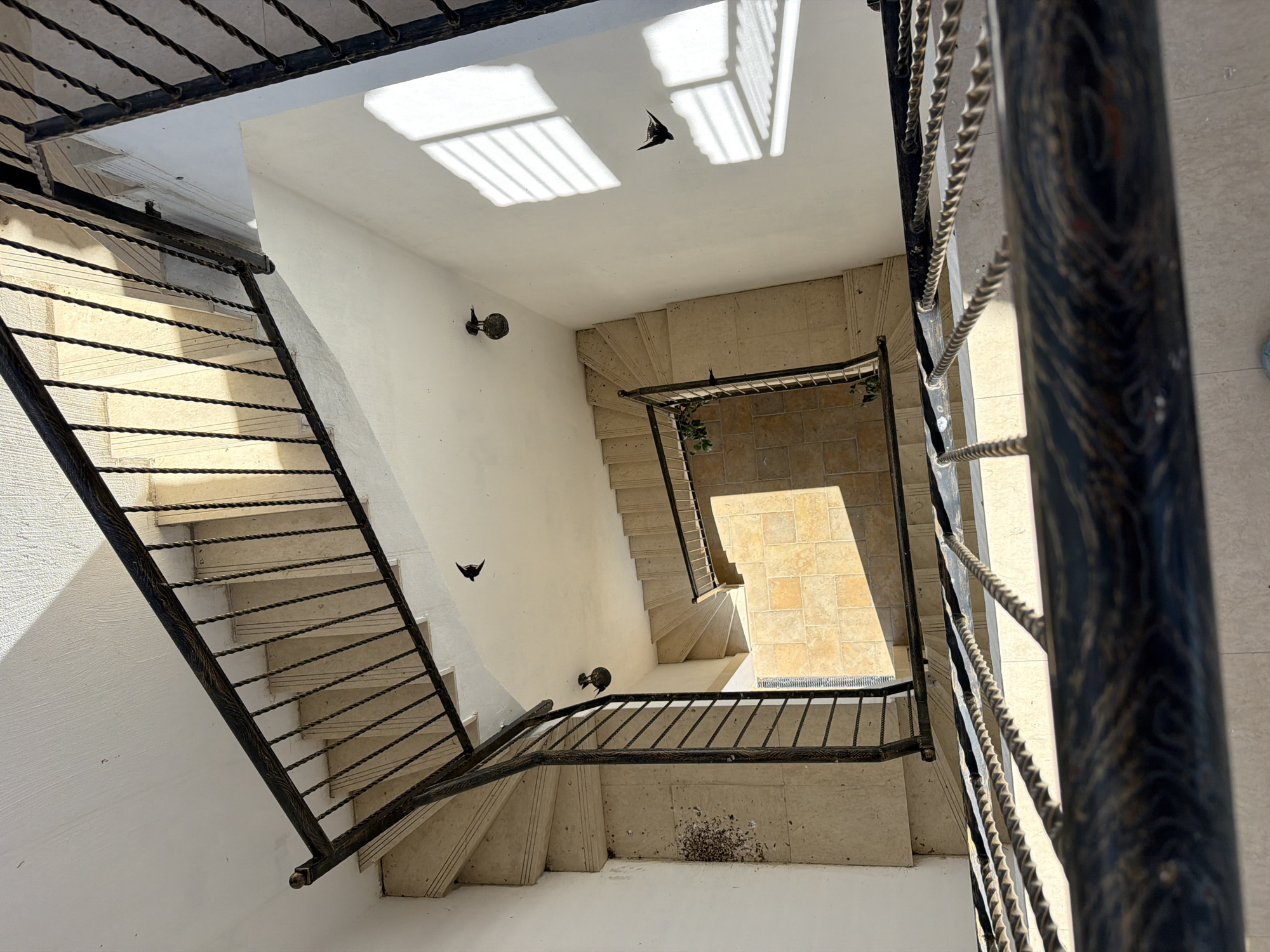A top-down, wide-angle shot captures a spiral staircase within an interior space. The staircase features stone steps and a dark metal railing with twisted spindles. The walls are painted white and illuminated by sunlight, casting striped shadows from what appears to be a window. There are three small, dark birds in flight within the frame. One bird is visible near the top of the staircase, another in the middle of the frame, and a third closer to the bottom. The floor of the stairwell is tiled with light-colored square tiles, some of which are illuminated by direct sunlight. There is a small pile of debris on the floor near the bottom left of the image. The overall impression is one of a residential or public building with an interesting architectural design.