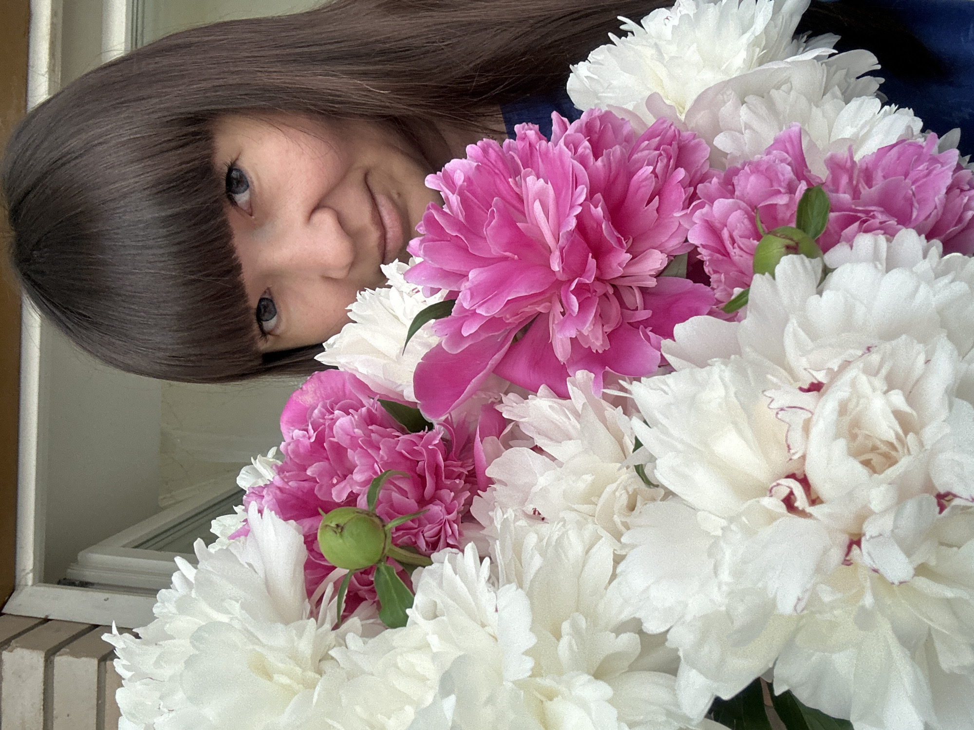 A medium close-up, horizontally oriented photograph features a young woman smiling amidst a large bouquet of peonies. The woman, with long, dark brown hair and bangs, is positioned on the left side of the frame, her head tilted, and her face partially obscured by the flowers. She has light-colored eyes and a gentle, pleasant smile. Her attire appears to be dark blue or black.
The prominent feature of the image is the lush bouquet of peonies. These flowers are a mix of vibrant pink and pure white. Several large, fully bloomed flowers are visible, showcasing their many delicate petals. A small, round, green peony bud with a single leaf is also visible among the pink blossoms.
The background elements are minimal. In the lower left corner, a white window frame and sill are partially visible, with what appears to be a light-colored brick pattern just below the sill. This suggests an indoor setting, possibly near a window in a home or apartment in Chaikovsky, Russia. The lighting is bright and natural, indicating daytime. The overall mood conveyed by the woman's expression and the fresh flowers is one of warmth, joy, and natural beauty. There is no visible text in the image.