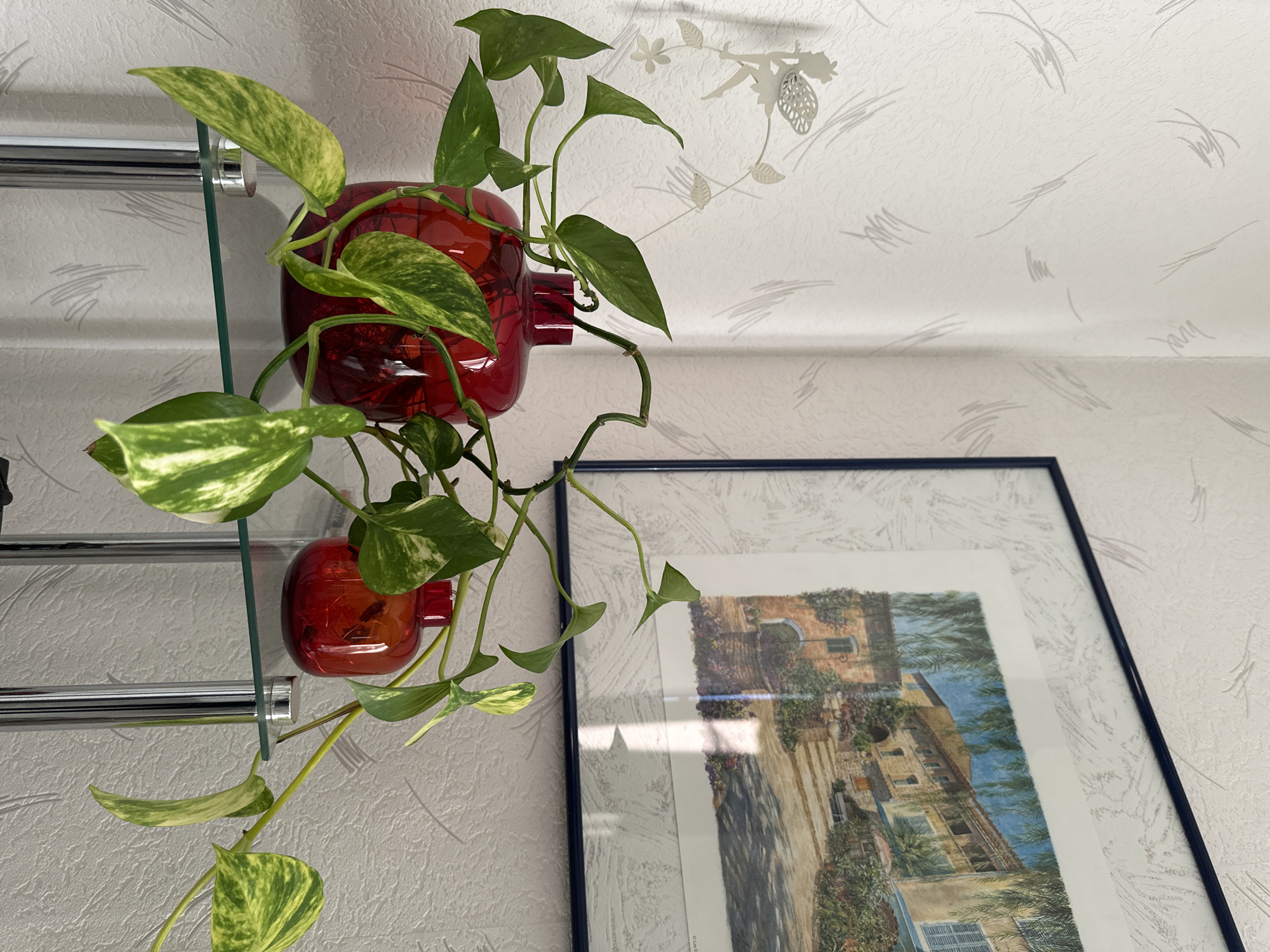 This is a close-up, eye-level interior shot of a decorative still life in Dietzhölztal, Germany. In the foreground, a vibrant green Pothos plant with variegated leaves is arranged in two striking red glass vases. The larger vase is positioned to the left, while a smaller one sits to its right. These vases are resting on a transparent glass shelf supported by sleek, cylindrical chrome legs. The shelf itself is part of a multi-tiered shelving unit, also visible supporting the plant. Behind the plant and vases, a textured, light-colored wallpaper with subtle gray scribbled patterns adorns the wall. To the upper right, a framed artwork hangs on the wall. The painting depicts a sun-drenched European village scene with buildings, a street, and lush greenery. A white vertical light streak is visible on the glass of the frame, indicating a light source from the right. A faint shadow of a small, decorative metal fairy figure on a vine is cast on the wall to the left of the artwork. The overall scene is static and well-lit, with natural light illuminating the subjects.