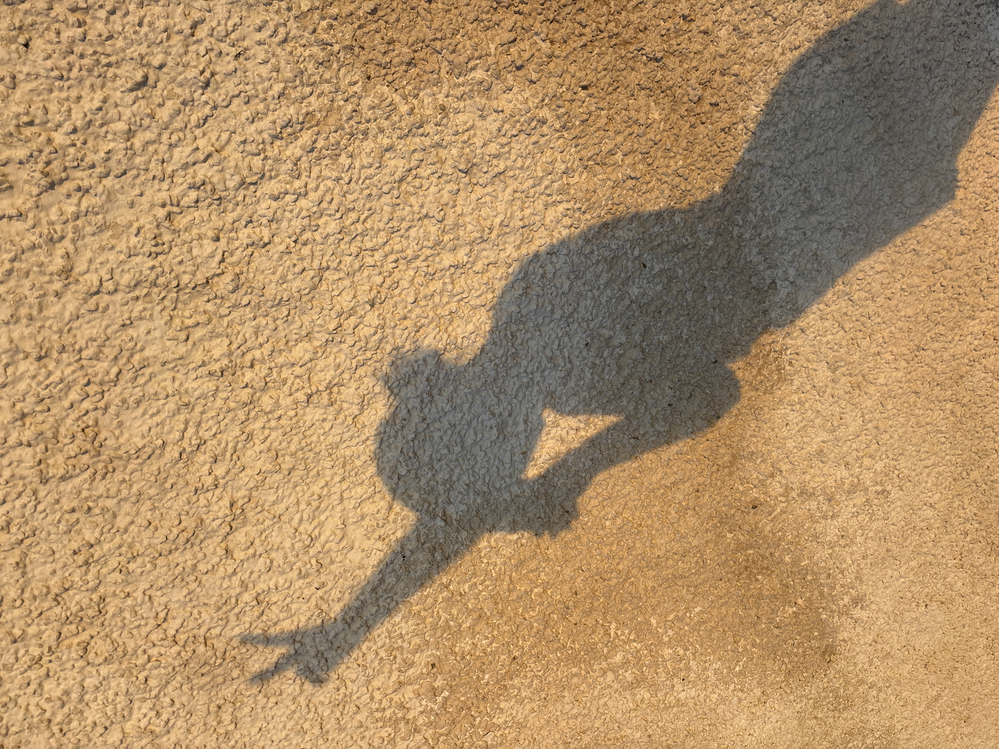 A shadow of a person, possibly a woman, is cast on a textured, light-colored wall, likely in the city of Murcia, Spain. The shadow depicts the person holding a camera or phone in their right hand, capturing a selfie, while their left arm is raised, forming a peace sign with two fingers. The shadow is elongated due to the low angle of the sun, suggesting it is either early morning or late afternoon. The wall's rough texture creates a dappled effect on the shadow. The overall scene is an abstract representation of a moment captured by someone.
