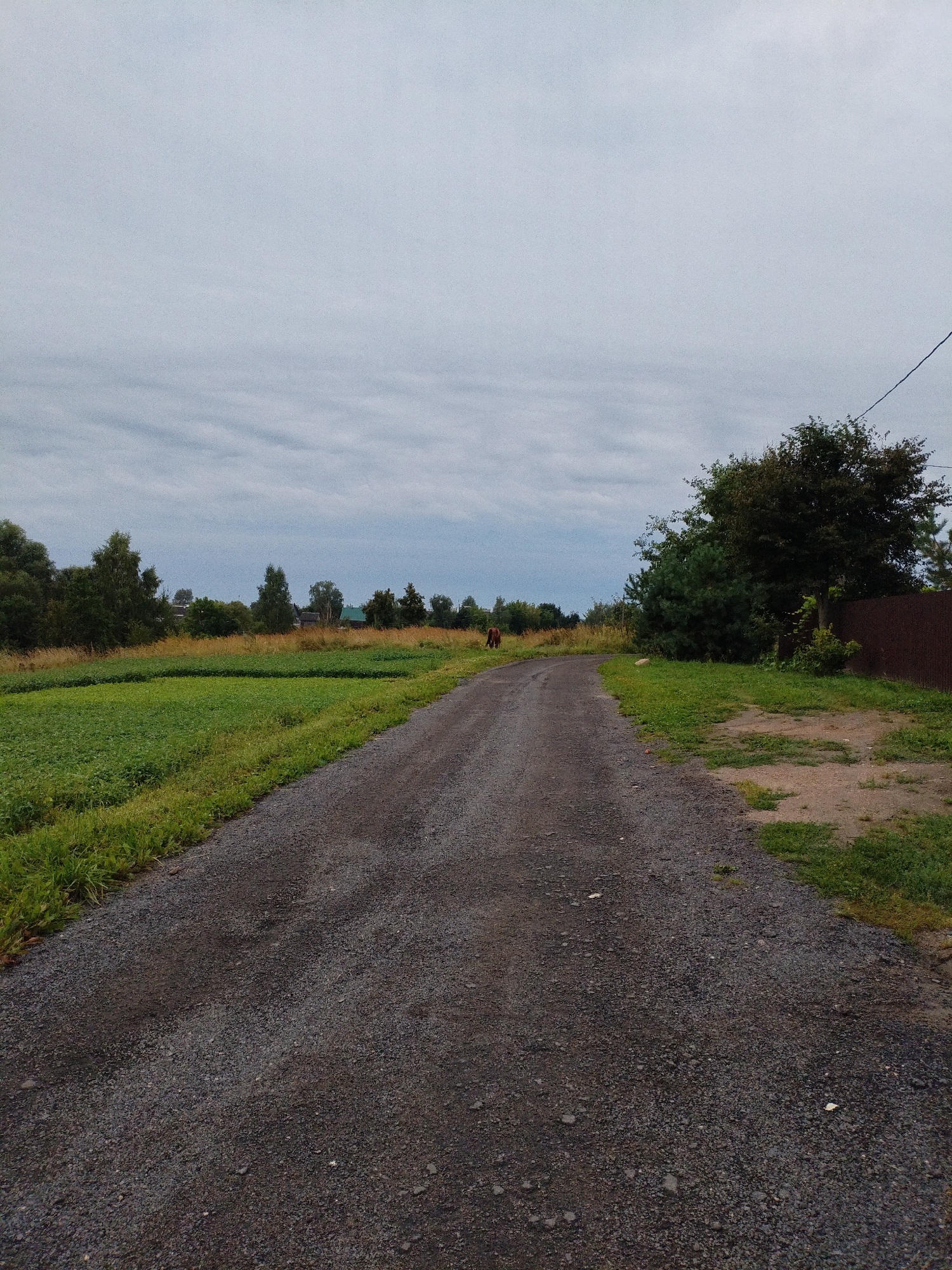 The image depicts a rural dirt road in the city of Bialynichy, Belarus. The road is surrounded by green fields and trees. The sky is overcast. A brown horse is visible in the distance on the left side of the road. A wooden fence runs along the right side of the road. The overall scene suggests a peaceful, natural setting.