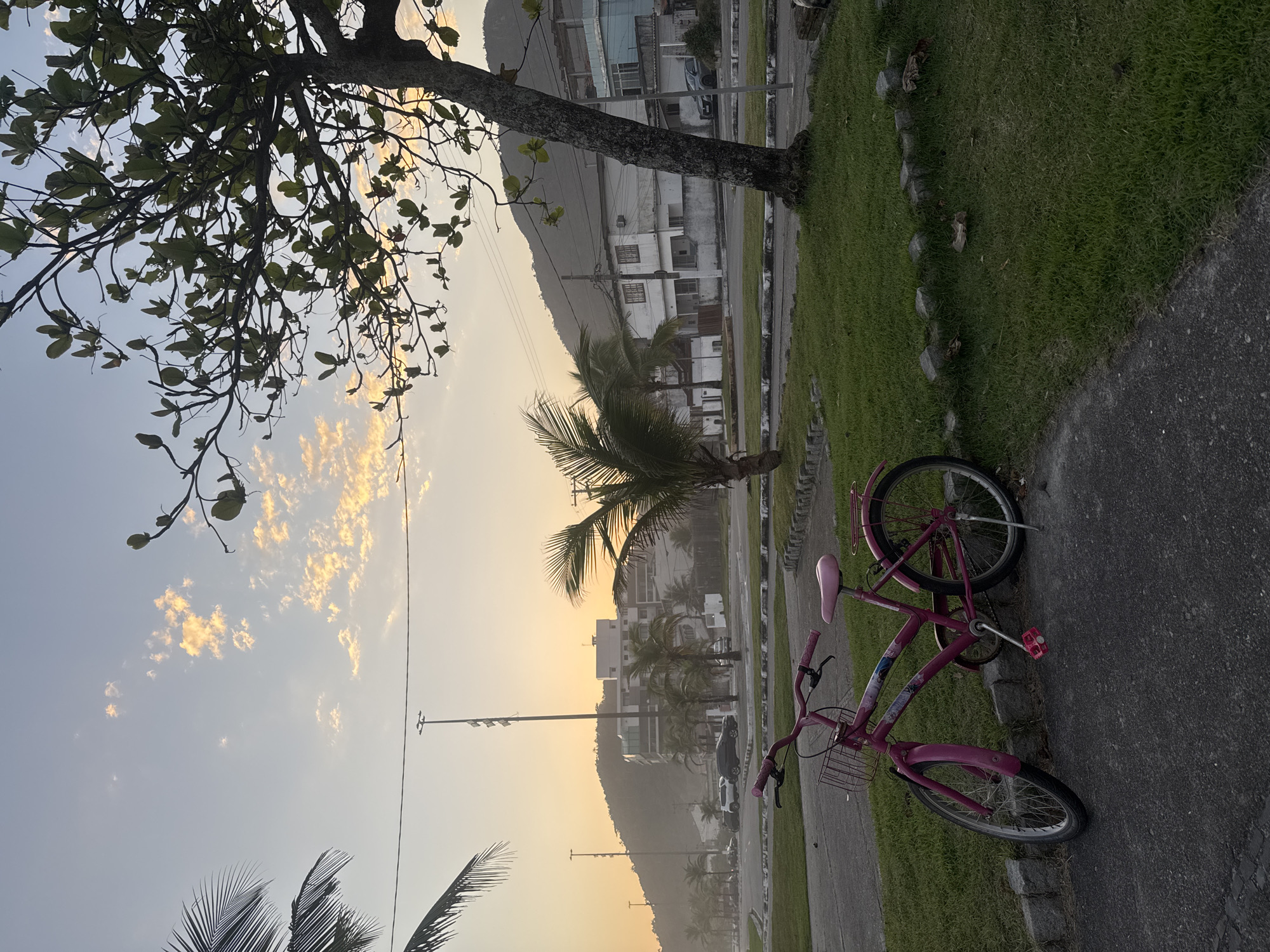 The image captures a pink bicycle parked on a paved area next to a grassy lawn. The bicycle is positioned at an angle, with its front wheel turned slightly. In the background, there is a street with parked cars, buildings, palm trees, and a hazy mountain range. The sky is a pale orange and yellow, suggesting it is either sunrise or sunset. The overall scene appears to be a coastal urban environment, possibly in Niterói, Brazil, given the presence of palm trees and coastal mountains. There are no people visible in the image.