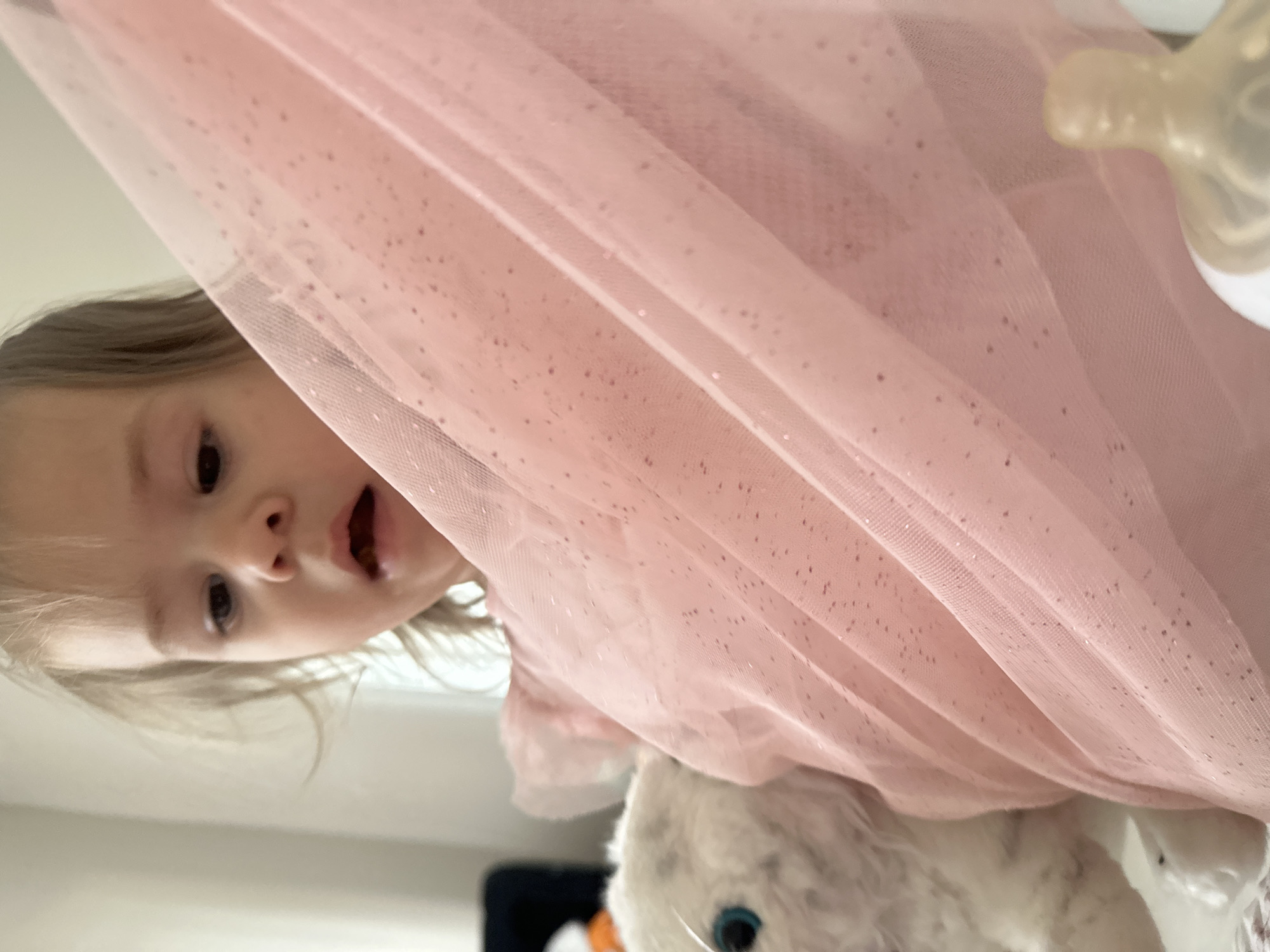 A child with light hair is peering out from behind a pink, glittery tulle fabric. The child has an open mouth and is looking downwards. A white plush toy is visible beneath the fabric. A baby bottle is visible on the right. The scene appears to be indoors. The location in the city of Kharnavy, Russia, is unknown.
