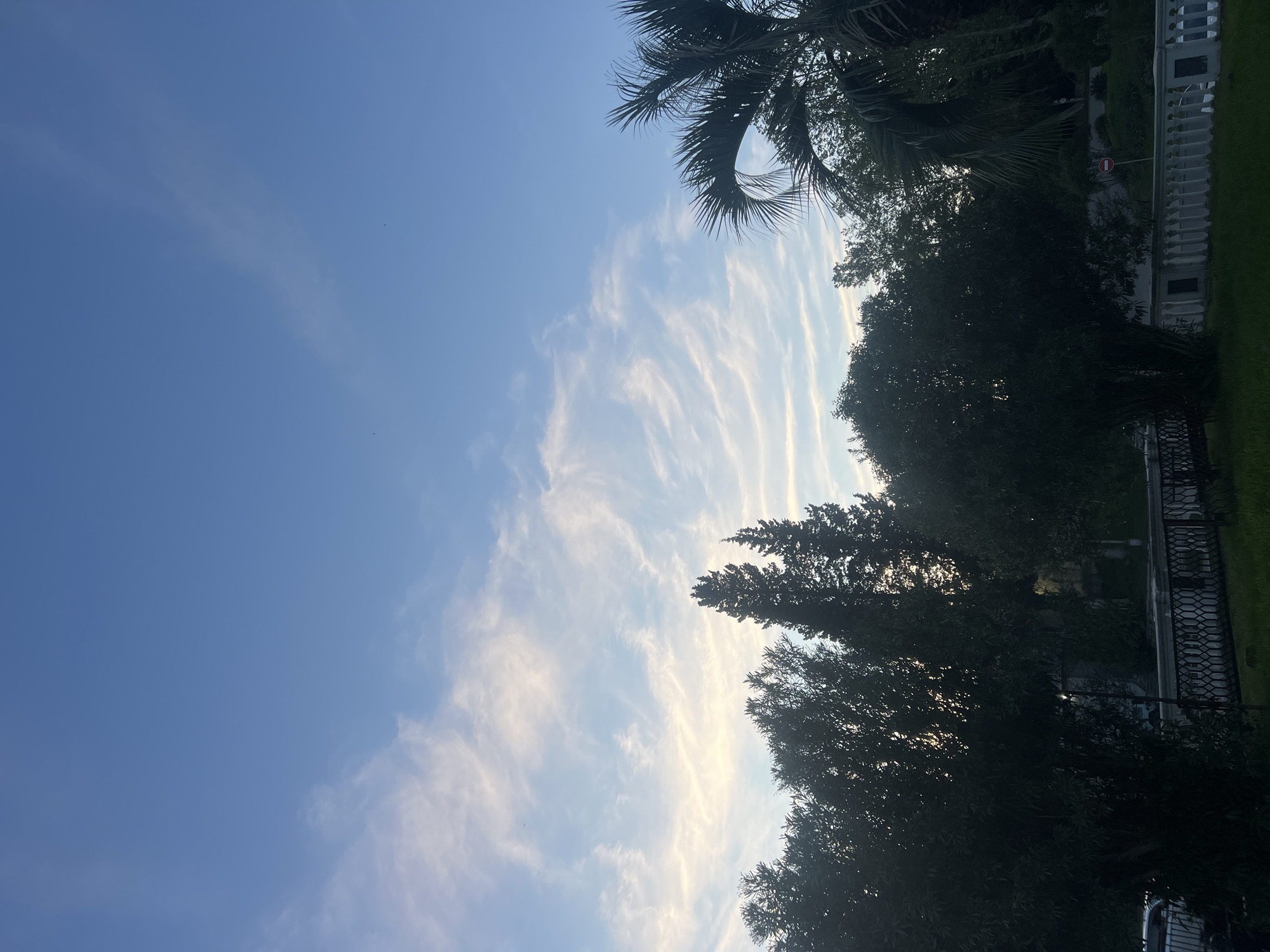 This image captures an outdoor scene at what appears to be late afternoon or early evening, characterized by a clear sky and soft, diffused light. The frame is dominated by a vast expanse of light blue sky, transitioning to a brighter, almost golden hue in the middle where it meets an array of elongated, wispy white clouds that stretch horizontally across the frame. These clouds have a distinct streaked pattern, catching the warm light.
In the lower right and along the right edge of the image, the silhouettes of numerous trees and dense foliage are visible. The trees are dark green, appearing almost black against the brighter sky, and include what looks like a palm tree frond arching into the top right corner. Beneath the trees, a white or light-colored fence or railing with decorative vertical posts runs horizontally, separating the treeline from what appears to be a paved area or road.
Further in the mid-ground, a red circular sign with a horizontal white bar (a "No Entry" or "Do Not Enter" symbol) is partially visible amidst the foliage, indicating a restriction. To the far right, a strip of green grass can be seen. There are no people or specific activities depicted, lending a peaceful and serene atmosphere to the scene. The overall impression is one of a quiet natural or park-like setting.