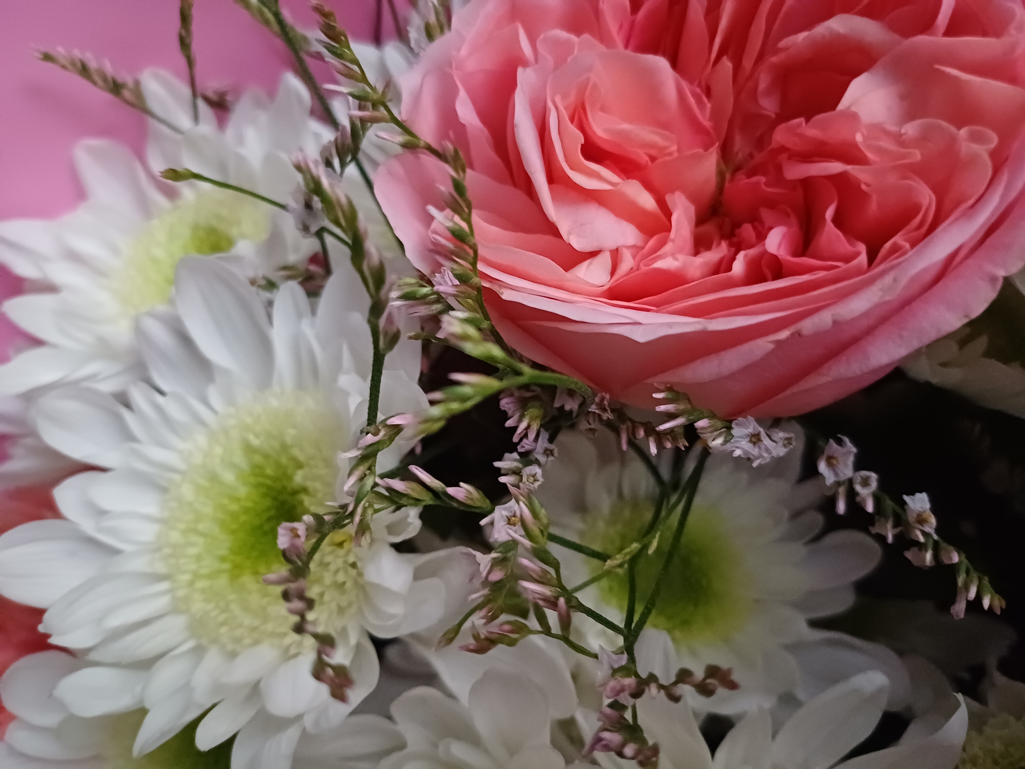 A close-up photograph captures a bouquet of flowers, primarily white chrysanthemums and a large pink rose. The chrysanthemums have a light green center and numerous white petals. Delicate sprigs of small pink flowers and green stems are interwoven throughout the bouquet. The background is a soft pink gradient, suggesting a draped fabric or a painted wall. The lighting is soft, highlighting the textures and colors of the petals and foliage.
