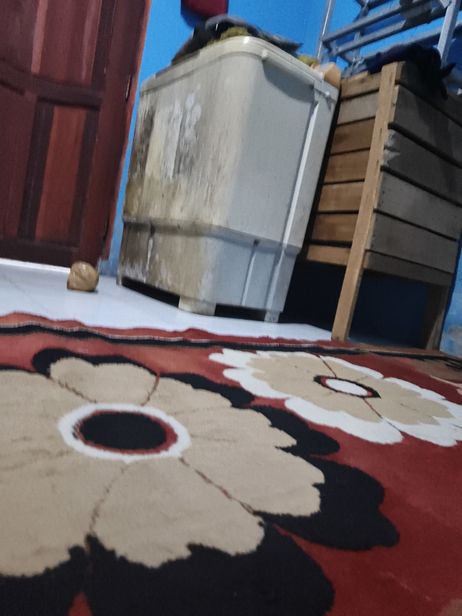 The image depicts a cluttered indoor scene, likely a laundry area or storage space, within a residential setting in Pangkalpinang, Indonesia. The foreground is dominated by a red carpet with a large, abstract floral pattern in beige, white, and black. To the left, a portion of a dark red wooden doorframe is visible. In the mid-ground, a dirty, off-white plastic washing machine stands prominently. Behind the washing machine, a wooden shelving unit with horizontal slats is present. The background shows a bright blue wall. On the floor near the washing machine, a small, light brown, rounded object, possibly a coconut shell or a piece of wood, is visible. The lighting suggests an artificial light source.