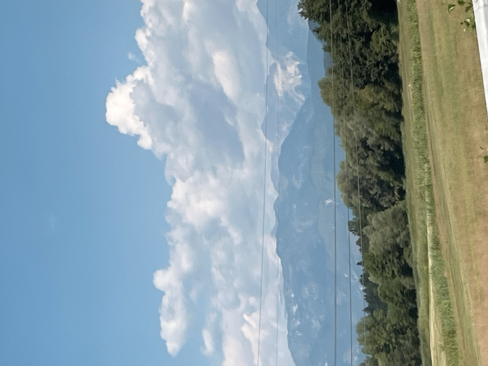 This is a photograph taken from a low angle, looking across a field towards a dense line of trees, with mountains in the background and a blue sky with white clouds above. The field in the foreground is a mix of dry grass and greener vegetation. Power lines are visible in front of the trees and mountains. The mountains are a hazy blue, with some areas appearing rocky and lighter in color, possibly snow-capped or showing rock faces. The sky is a clear blue with scattered, fluffy white clouds. The overall impression is a natural landscape scene with evidence of human infrastructure (power lines). The location is specified as Krtina, Slovenia. There are no people or specific actions depicted in the image.