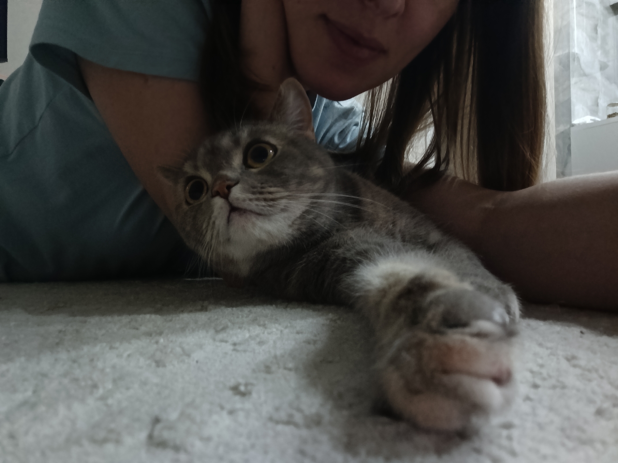 A woman is lying on a carpet, embracing a gray and white tabby cat. The cat is in the foreground, looking up with wide eyes, and has one paw extended towards the camera. The woman is positioned behind the cat, with part of her face and hair visible. The background includes a hint of a window with a curtain. The location cannot be determined to be Chaikovsky, Russia from this image alone.