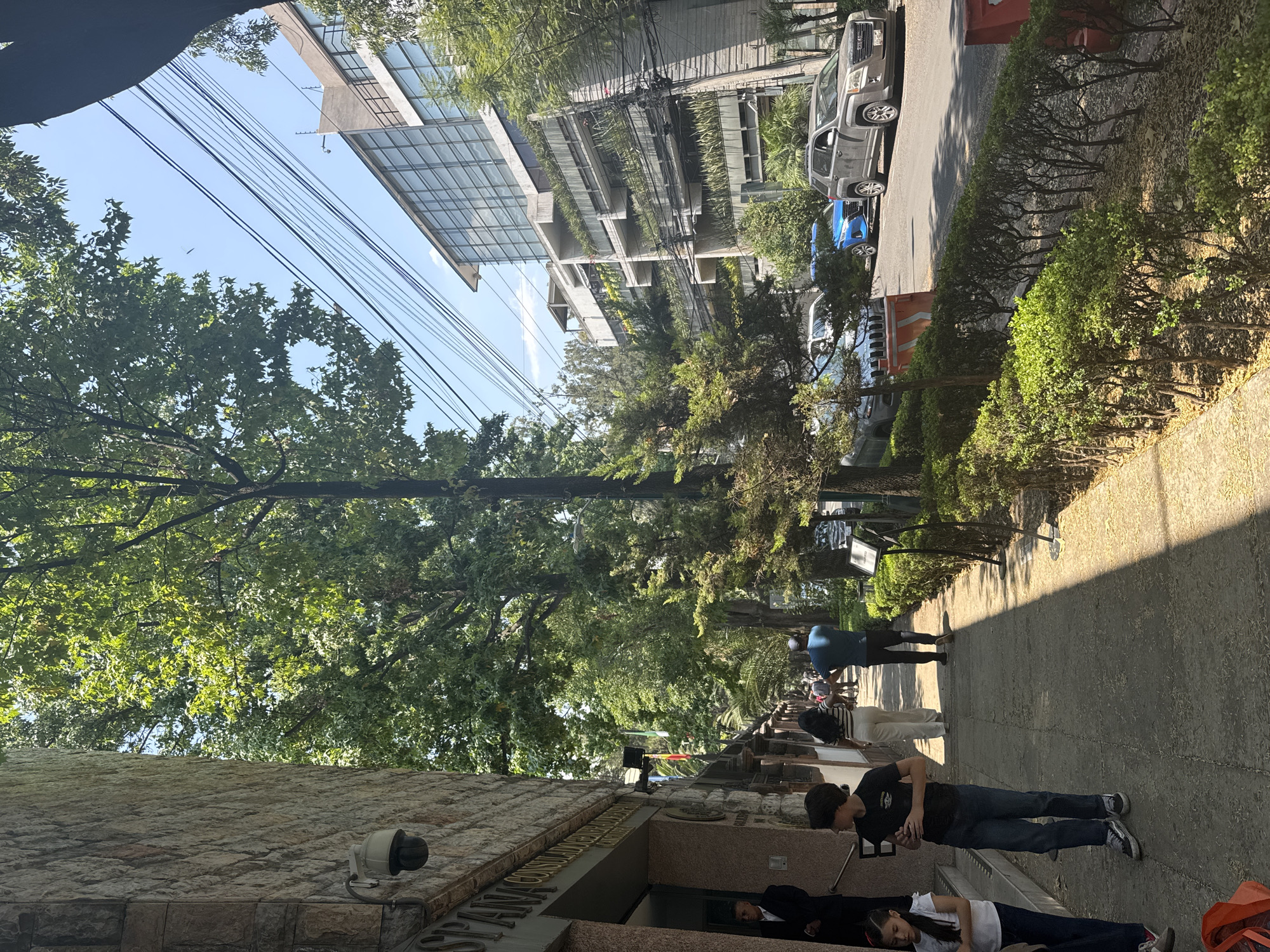 This image captures a vibrant urban street scene in Mexico City, Mexico, under bright daylight. The primary subjects include several people, lush green trees, various buildings, parked cars, and numerous overhead power lines.
The scene unfolds on a sidewalk alongside a building with a textured stone facade. A security camera is visible on this building, and part of a sign reveals the text "SPANI" and "CONSULADO GENERAL DE...", strongly indicating it is a Spanish Consulate. Several people are standing and walking on the sidewalk in front of this building. They are dressed in casual attire, with some appearing to look at their phones. Further down the sidewalk, a person in a blue shirt is visible, and closer to the foreground, individuals in black shirts and jeans are present.
Across the street, modern buildings with glass facades and balconies adorned with greenery contribute to the urban landscape. The street itself is visible with a gray pickup truck and a blue car parked. Hedges and bushes line parts of the sidewalk and separate it from the road. Dominant in the upper half of the image are dense green tree canopies, which cast shadows on the ground, suggesting the sun is high in the sky. A clear blue sky is visible above, traversed by a dense network of black power lines. The bright sunlight and distinct shadows indicate a clear, sunny day, likely in the late morning or early afternoon.