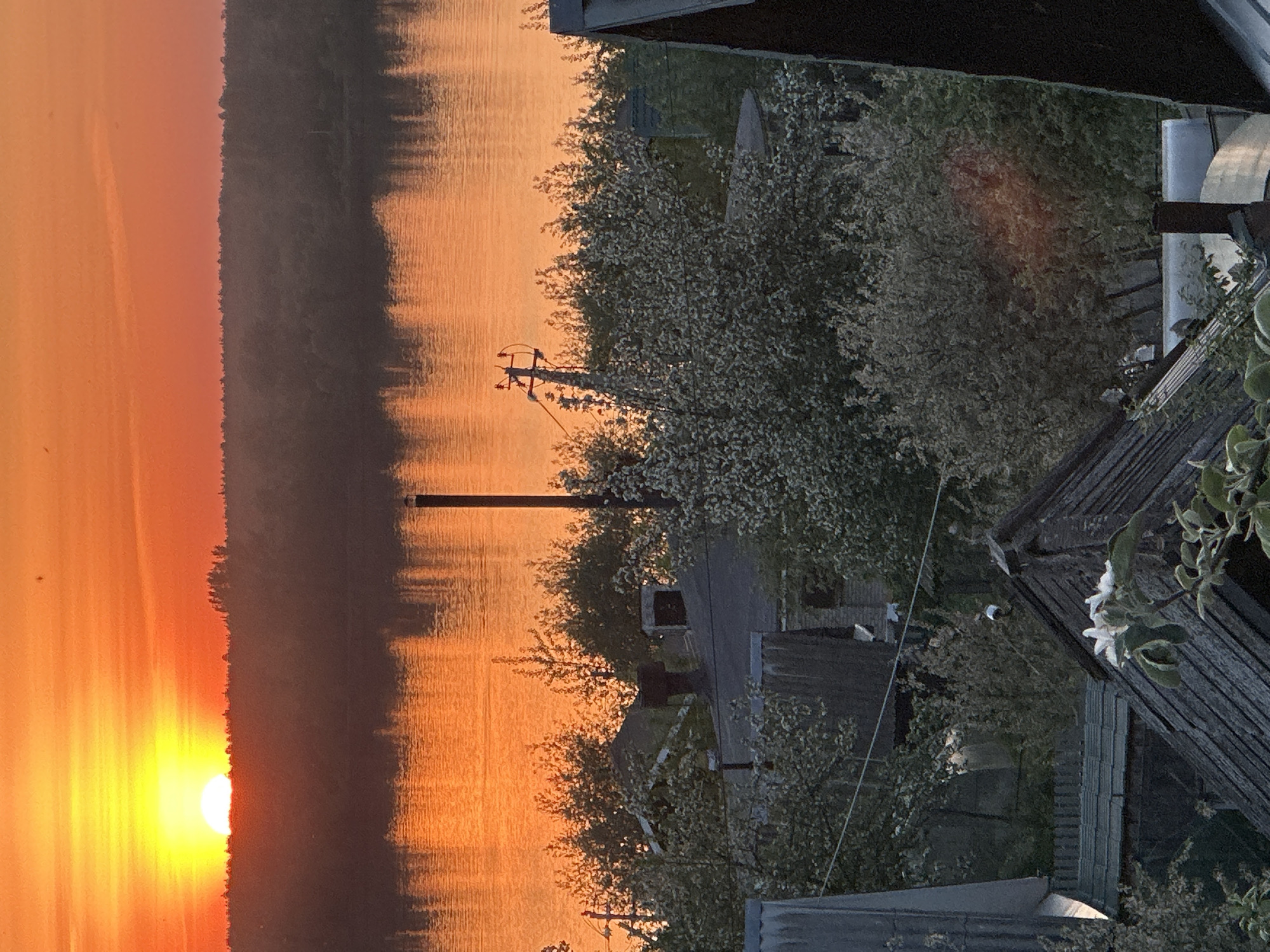 A landscape shot depicts a sunset scene in Chaikovsky, Russia. The left side of the image shows the sun setting below a dark treeline, casting an orange glow. The sun's reflection appears on the water. On the right, foliage and glimpses of buildings are visible. A utility pole stands in the center of the frame.