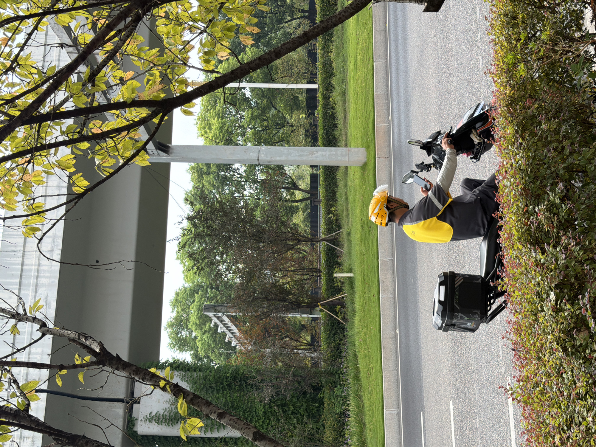 A delivery rider wearing a yellow helmet and a grey and yellow uniform is stopped on a motorbike on the side of a road in Jiangjin, China. The rider is looking at their phone. The motorbike has a black storage box on the back. In the background, there is a road, a grassy median, trees, and a concrete overpass. The scene is framed by the branches of a tree in the foreground, with some leaves showing autumn colors.