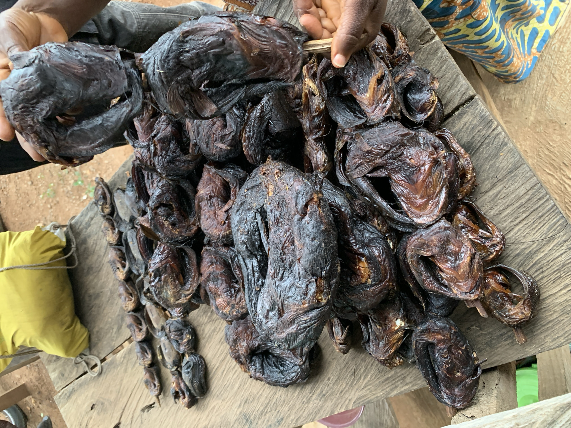 The image depicts a market scene in Gbeleko, Nigeria, focusing on a display of numerous dried or smoked fish on a rustic wooden surface. A large pile of dark brown to black fish, predominantly catfish, occupies the center and right side of the frame. The fish exhibit a shriveled, textured appearance, with some curled and others flattened.
In the upper right quadrant, a dark-skinned hand, clad in dark denim, holds up a large, dark piece of dried fish, presenting it. In the lower right, another dark-skinned hand interacts with the fish pile, holding a light-colored wooden stick or skewer. This individual wears brightly patterned fabric, featuring yellow and blue designs, on their lower body.
To the upper left, a smaller row of similarly dried fish is visible, appearing to be skewered together. Above these, a bright yellow bag rests on the wooden surface, with a rope or string partially visible. The wooden surface itself is composed of weathered planks, showing visible grain and some gaps. The background reveals reddish-brown earth, indicating an outdoor setting, with a glimpse of a green object near the bottom left and a red object below the table's edge.