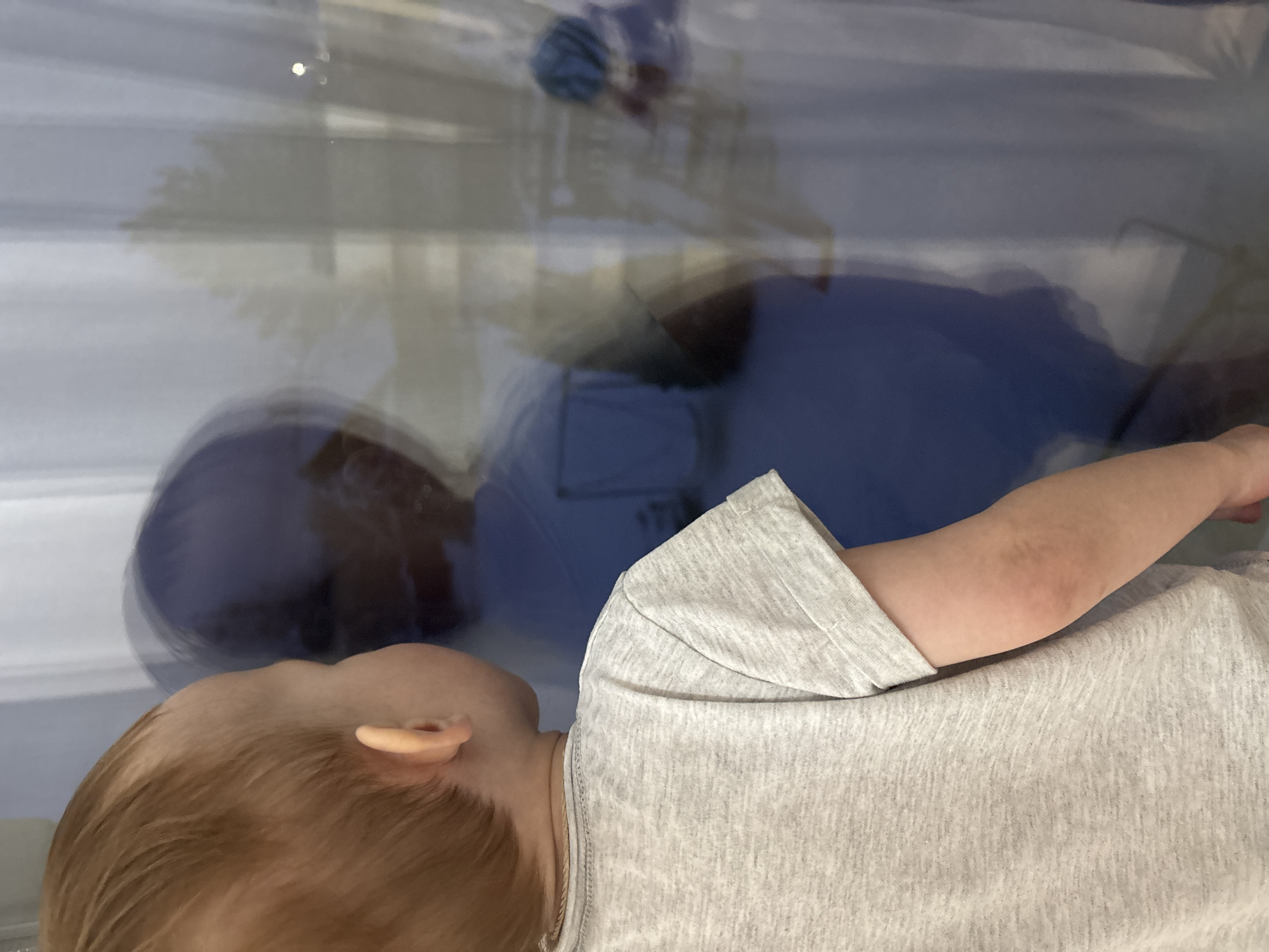 A young child, presumably a toddler, lies in the foreground, viewed from the side. The child has fair skin, blond hair, and wears a light gray t-shirt. The child's face is partly visible, including the ear. An arm extends towards the right of the frame.
Behind the child, there is a distorted reflection in a window. The reflection appears to show a person wearing a blue surgical cap and a blue t-shirt. The background of the reflection is a light gray or white wall.
The location of the image is likely not Ferma, Russia, as the scene does not provide any indicative details relating to the city. The setting appears to be indoors, possibly a hospital or clinic setting, given the person wearing the surgical cap.