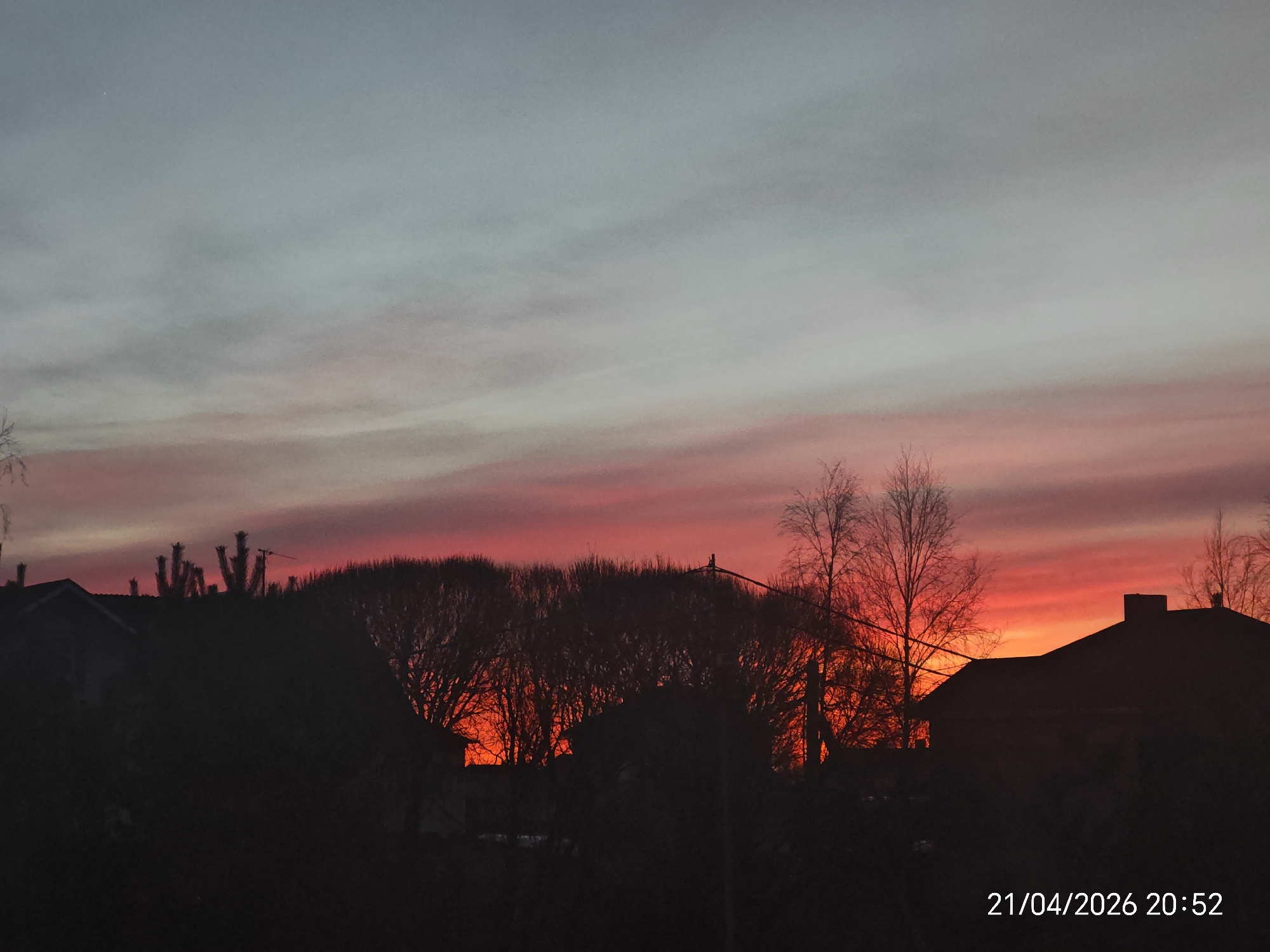 The image captures a vibrant sunset over a residential area, viewed from a low angle. The sky dominates the upper two-thirds of the frame, displaying a striking gradient of colors. The top portion is a soft, muted grey-blue, transitioning downwards through faint pinks and oranges, culminating in a brilliant, fiery red-orange band along the horizon, just above the silhouetted landscape. Wispy clouds are present throughout the sky, reflecting these sunset hues.
In the lower third of the image, the landscape is depicted in dark silhouette against the glowing sky. Numerous leafless trees and dense bushes form a dark, irregular line across the middle ground. Interspersed within these silhouettes are the dark forms of several houses with sloping roofs. One prominent house silhouette is visible on the far right, and another on the far left. A thin antenna or aerial can be seen extending from the top of the foliage in the left-center. Electrical wires or utility poles are faintly visible through the branches of some trees. The overall mood is peaceful and dramatic, highlighting the natural beauty of the sunset.
In the bottom right corner of the image, white text is visible, stating "21/04/2026 20:52".