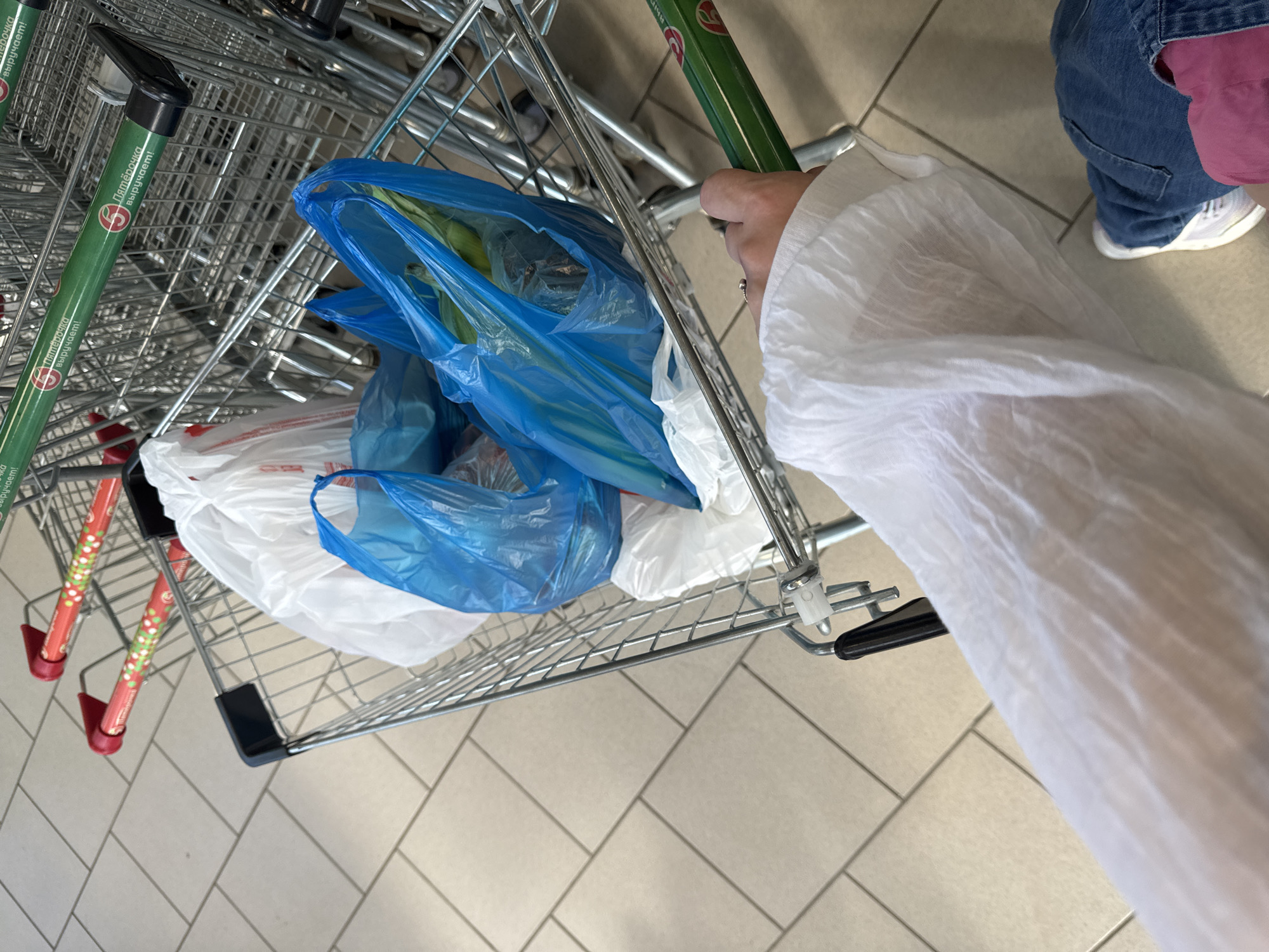 The media file shows a close-up, overhead view of shopping carts at a grocery store in Ekoposelok, Russia. The primary subjects are several connected shopping carts, some filled with plastic bags, and a person's hand and arm, clad in a white, possibly disposable, sleeve or garment. The shopping carts appear to be in a store aisle, indicated by the tiled floor and the presence of other carts in the background.
The shopping carts are made of metal and have green handles with visible text that appears to be in Russian. The text on the green handles reads "Пятёрочка выручает!" which translates to "Pyaterochka helps out!". The carts contain several blue and white plastic bags, suggesting recent shopping activity. One cart in the foreground has red and white decorative elements on its lower supports.
The hand visible is gripping the handle of one of the shopping carts. The person is wearing blue jeans and white sneakers. The white garment on the arm is somewhat translucent and crinkled, possibly a protective cover or a light jacket.
The scene appears to be indoors, under artificial lighting, with no indication of the time of day or weather. The overall impression is one of everyday commerce and personal shopping. The image focuses on the detail of the shopping cart contents and the person's interaction with the cart.