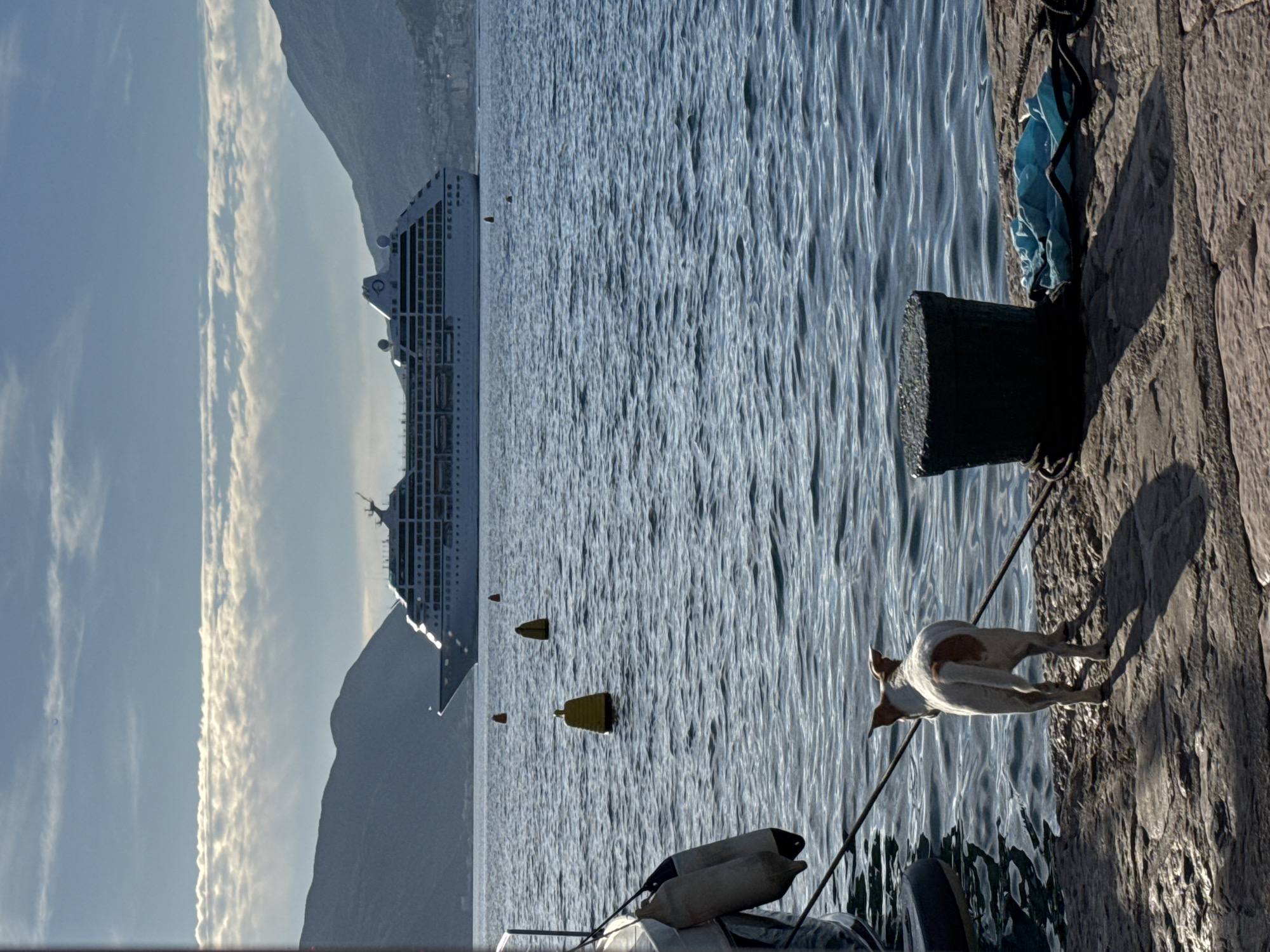 A detailed view captures a waterfront scene in the city of Unknown, Unknown, under clear skies with scattered stratocumulus clouds. In the foreground, a small, white and brown dog with a patch on its back stands on a rough stone dock, facing away from the camera and looking out over the water. A dark cylindrical mooring bollard is situated to the right of the dog, with a thick black rope coiled around its base and extending into the water. A crumpled blue fabric item lies on the dock near the bollard. To the left, part of a boat, exhibiting a white hull and two grey fenders, is visible, tethered by a rope leading to the dock.
The midground features a body of water with rippled surface reflections. Three buoys are present: two yellow, conical buoys (one closer, center-left; one further back, mid-right) and one smaller red buoy positioned deeper on the left. Dominating the mid-distance is a large, white cruise ship, identified by the visible "Regent" name and logo on its funnel and bow, featuring multiple decks and windows, cruising or anchored against a backdrop of distant mountains.
The background is defined by large, dark, undulating mountains on both the left and right sides of the frame, partially obscured by a light haze. The sky above is a pale blue, with horizontal bands of white clouds. The lighting suggests late morning or afternoon, with strong sunlight casting distinct shadows on the dock and illuminating the cruise ship's hull.