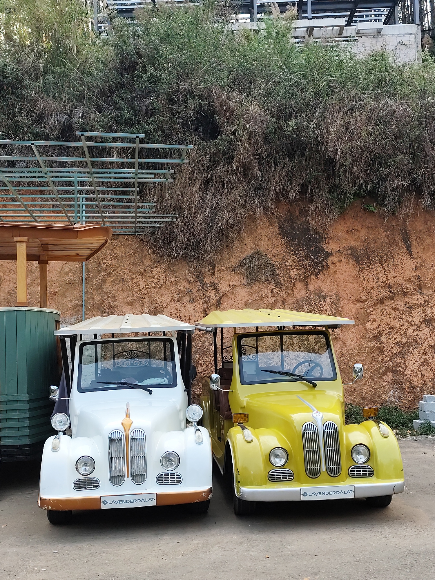 The image shows two vintage-style electric vehicles parked side-by-side in Da Lat, Vietnam. The vehicle on the left is white with tan accents, while the vehicle on the right is yellow. Both have "LAVENDERDALAT" printed on their front license plates. Behind the vehicles is a reddish-brown wall partially covered with vegetation. Above the wall, there is a metal structure and more dense green vegetation. To the left of the white vehicle is a partially visible structure with a wooden roof and green painted sides. The ground is a light-colored dirt or gravel surface. The overall lighting suggests an outdoor setting during the day.