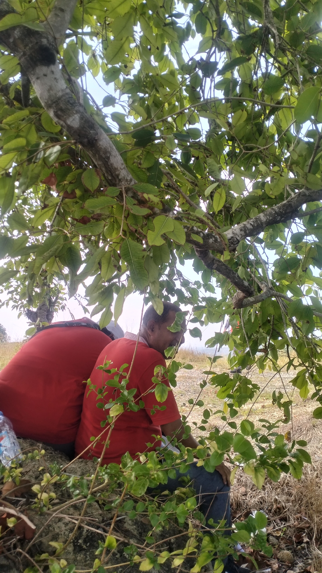Two individuals are seated outdoors under the shade of a tree in Lhokseumawe, Indonesia. The person on the left is largely obscured, wearing a red shirt and sitting with their back to the camera. The person on the right is facing away and to the side, also wearing a red shirt, and appears to be looking down. They are seated on what looks like a large rock or embankment. In the foreground, there is dense green foliage and dry grass. The background shows more dry grass and a lighter sky, suggesting a sunny day. A plastic water bottle is visible on the rock next to the person on the left. The tree's branches, covered in green leaves, extend over the subjects, creating a dappled light effect.