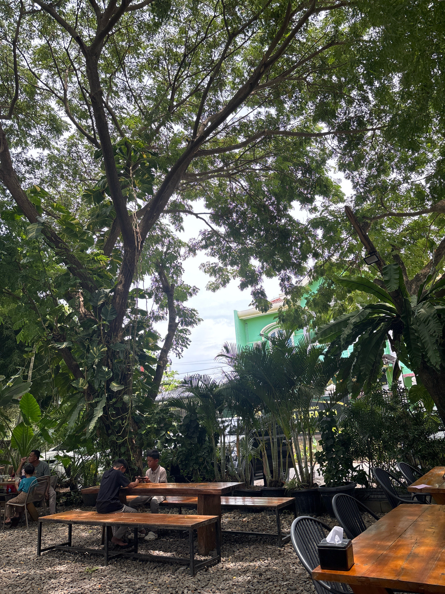 The image depicts an outdoor seating area, likely a cafe or restaurant, set within a lush, green environment with a large tree dominating the foreground. Several wooden tables and benches are arranged on a gravel ground. In the middle ground, two young males are seated at a wooden table, with one looking at a mobile device and the other engaged in conversation. To the left, two older individuals are seated at another table. In the background, a bright green building with arched windows is visible, partially obscured by dense foliage and palm trees. The overall atmosphere suggests a relaxed, tropical setting. This scene is likely located in the city of Bireuen, Indonesia, known for its vibrant natural scenery and growing cafe culture.