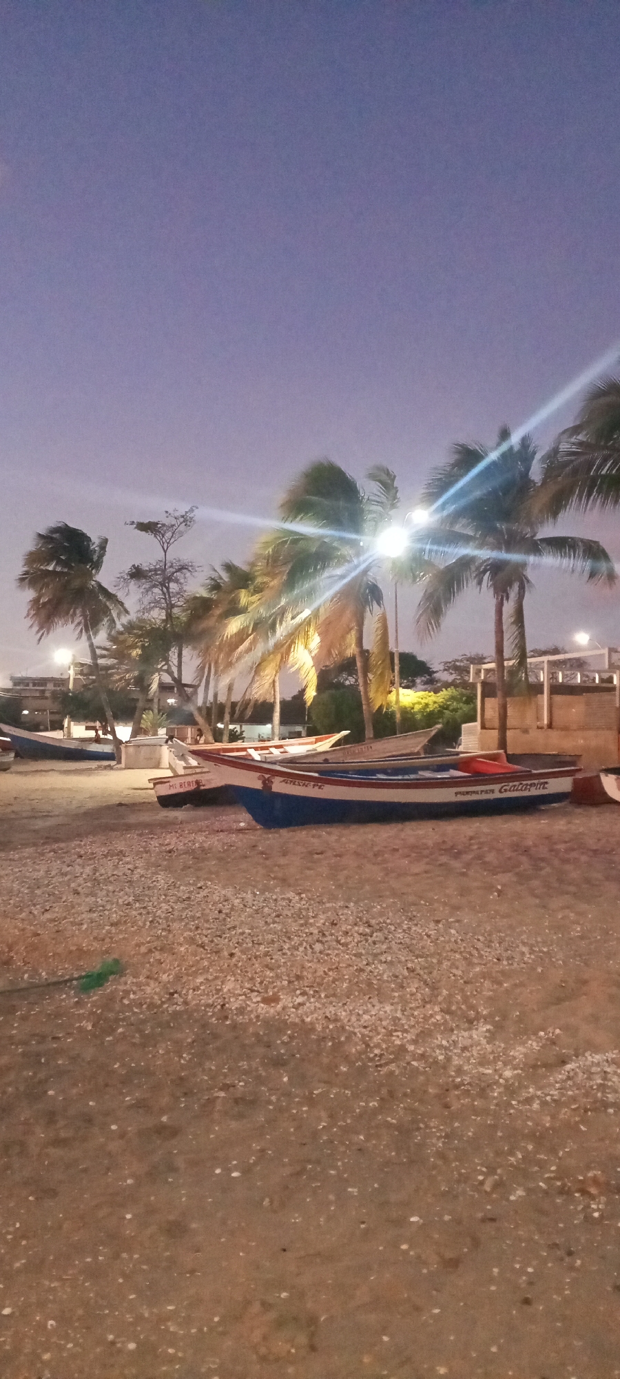 The image depicts a coastal scene in Juan Griego, Venezuela, at dusk or night. The sky is dark purplish-blue. The foreground consists of a sandy beach surface mixed with numerous small white shells and pebbles. A green rope-like object is visible on the sand in the lower-left quadrant.
Several small fishing boats are beached on the sand. The most prominent vessel, positioned in the mid-ground slightly right of center, features a blue hull, a white side, and a red stripe, with the inscription "ALYESH-PE" on its bow and "PREMERA FINA Galarin" along its side. Behind it, another white boat with a red stripe bears the name "MI REBECA." Additional boats are partially visible further to the left and in the background.
A row of palm trees extends across the mid-ground, their fronds illuminated by multiple bright artificial light sources, which generate prominent starburst lens flares. Other deciduous trees and shrubs are interspersed among the palm trees. In the background, dimly lit buildings and structures are visible. No individuals are present in the scene.