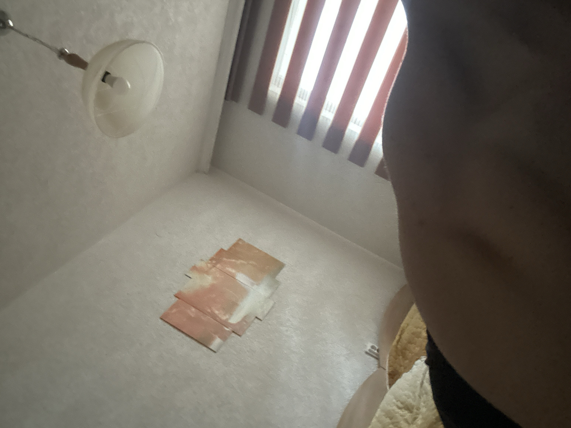 The image displays an interior room located in Zlatograd, Bulgaria. A dark, curved human shoulder or upper arm occupies the lower right and central foreground. To the left, light brown and yellow bedding is partially visible. The room's light-colored, textured walls feature a multi-panel artwork on the left, consisting of several rectangular sections with abstract white, orange, and light brown patterns. A ceiling-mounted pendant light fixture, equipped with a translucent bell-shaped shade and a visible bulb, is present in the upper center. A window on the right side is covered by partially opened horizontal blinds, revealing alternating light and reddish-brown or dark gray slats through which daylight streams.