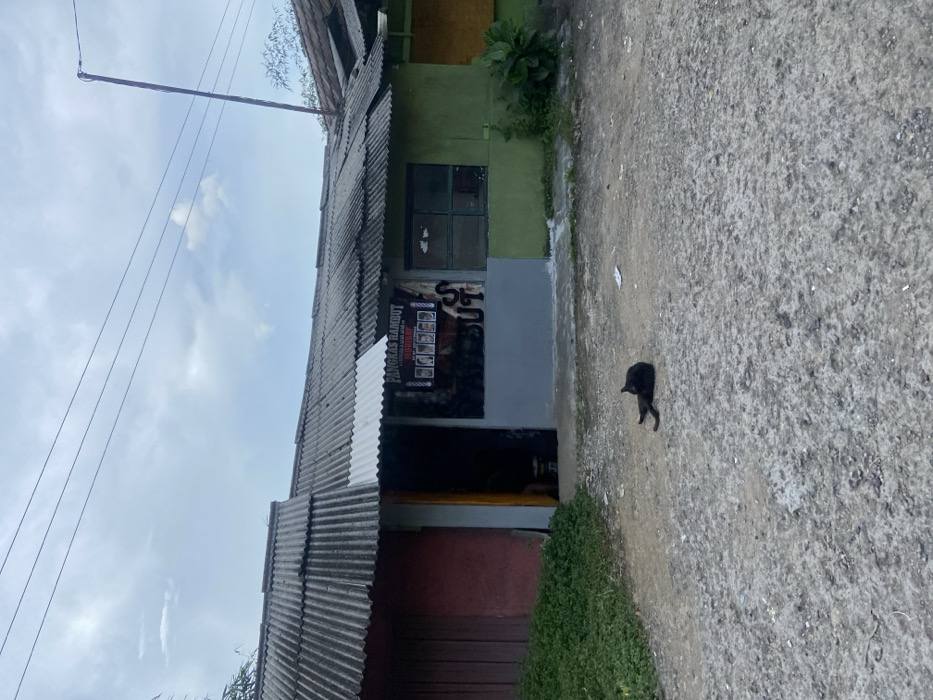 The image shows a small, single-story building in Cipatat, Indonesia, located at latitude -6.778 and longitude 107.437. The building has a corrugated metal roof and is painted gray and green. A sign above the door reads "Pangkas Rambut." There is a black cat lying in the dirt in front of the building. The sky is cloudy and there are power lines overhead. The building appears to be a barbershop. The front of the building has two doors, and the one on the right has a window that appears to be boarded up. The ground is made of gravel and there is some vegetation on the left side of the frame. The building is situated in a residential area with other buildings visible in the distance. There are no people in the scene.