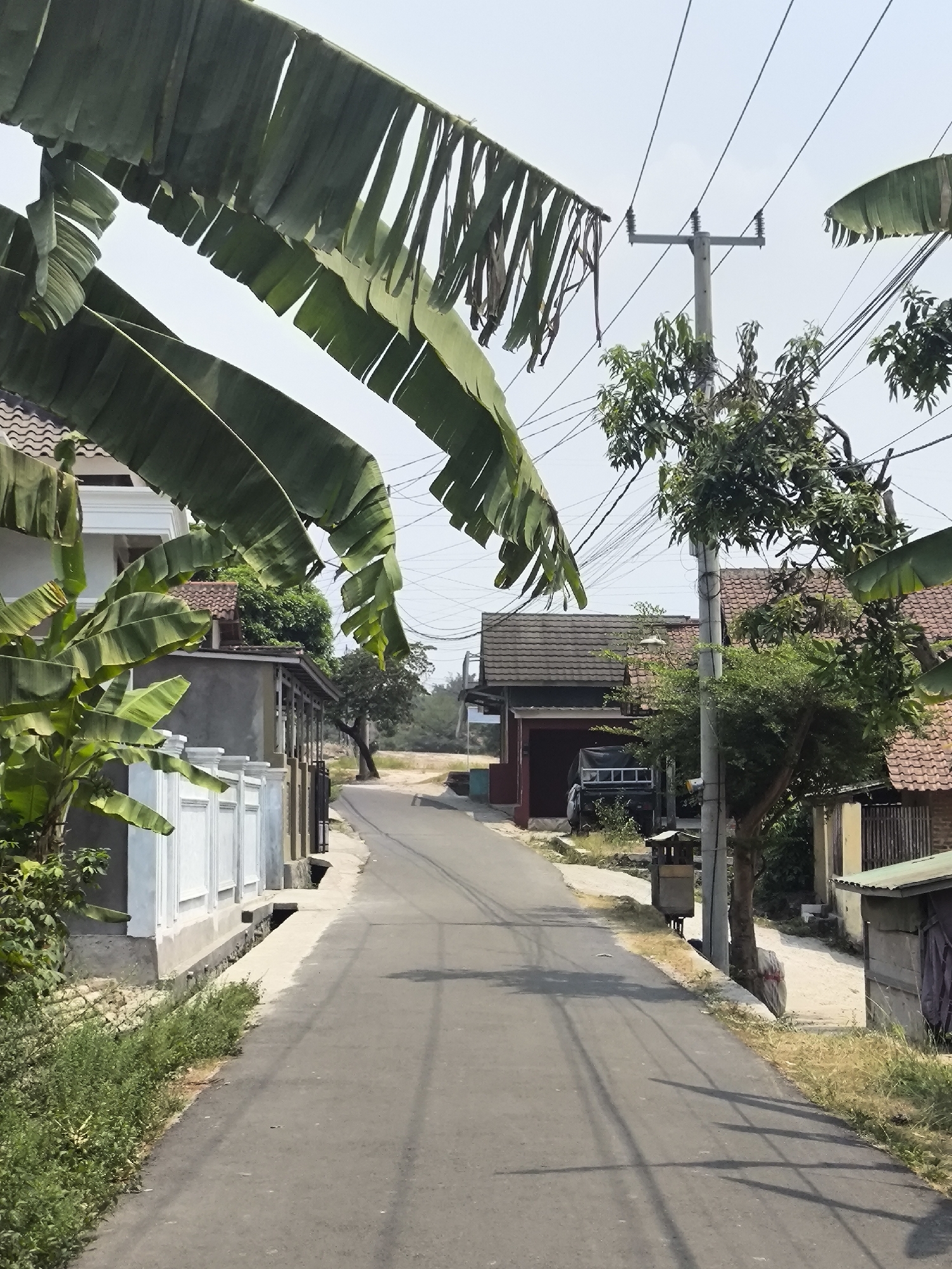 The image depicts a street scene in Cilegon, Indonesia, under a bright, hazy sky. A paved road curves gently uphill, lined on both sides by houses with tiled roofs and various trees. In the foreground, large, green banana leaves hang down from the top of the frame. On the left, a white fence encloses a property with a modern-looking house. On the right, the road leads past a dark-colored utility pole with multiple wires stretching across the sky, and several trees. A small, dark truck is parked in the driveway of one of the houses on the right, with a wooden structure and a corrugated metal roof visible nearby. The environment appears to be a residential area with a mix of modern and older structures, typical of a developing urban setting.
