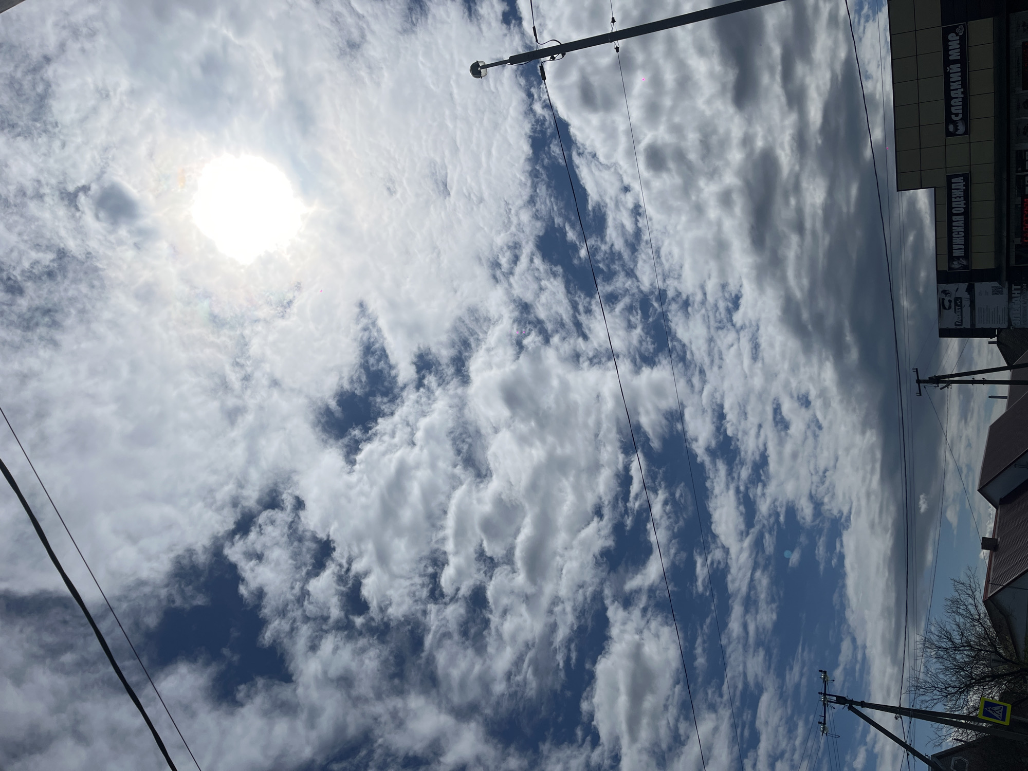 A low-angle view of a sky filled with many white clouds and patches of blue sky, with the sun visible through a thin area of clouds. Electrical wires and poles are in the foreground and background. A street sign is present near a building with advertisements, and a tree is partially visible in the lower right corner. The location is Novopokrovskaya, Russia.