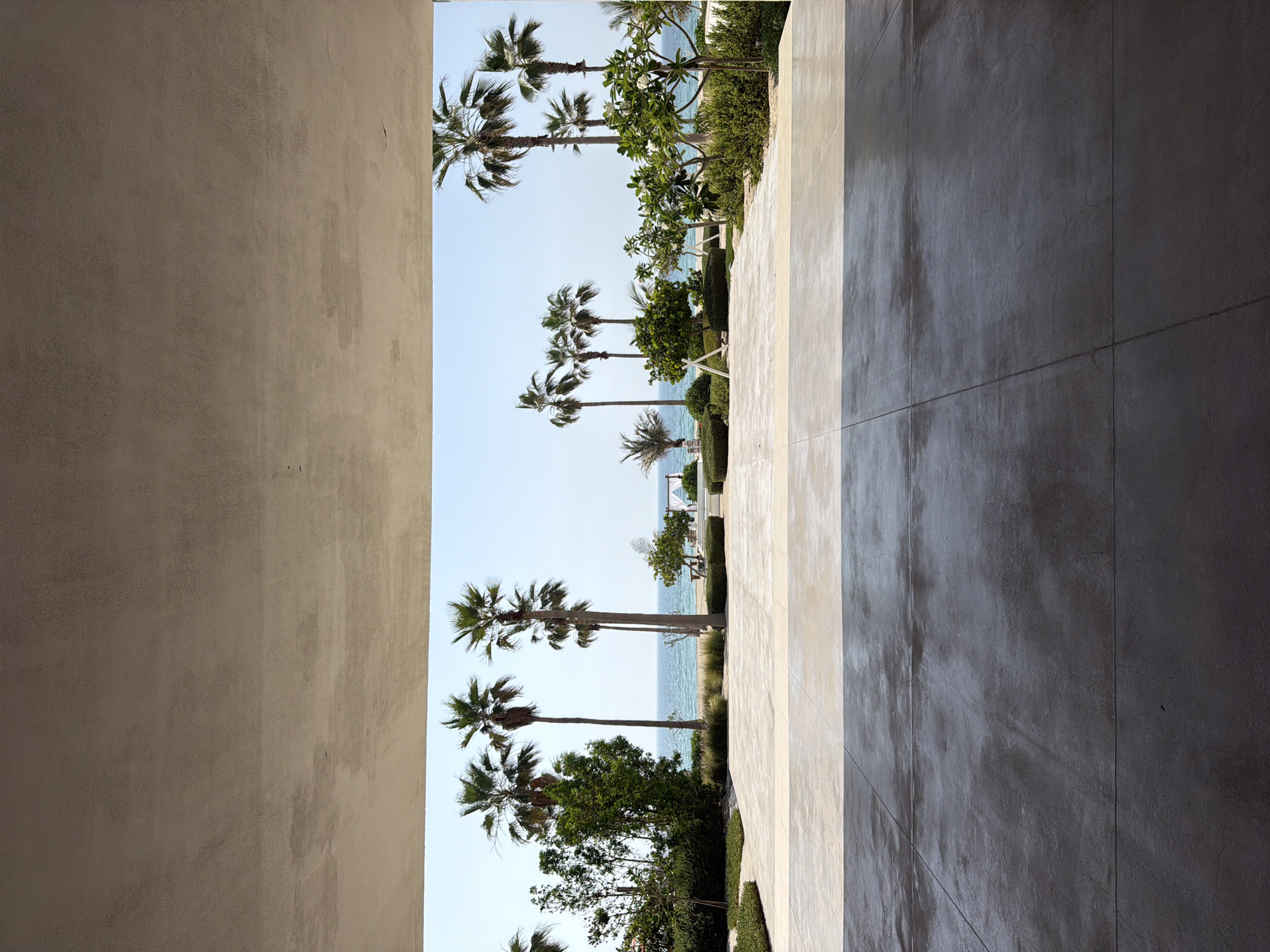 The image shows a view through a narrow opening, revealing palm trees, other vegetation, and the sea. The view is framed by what appear to be building walls or architectural structures on either side. The left wall is a light beige color. The right wall is made of large, dark grey tiles. The sky is visible between the trees and plants. The image has a slight tilt. The location is Dubai, UAE.