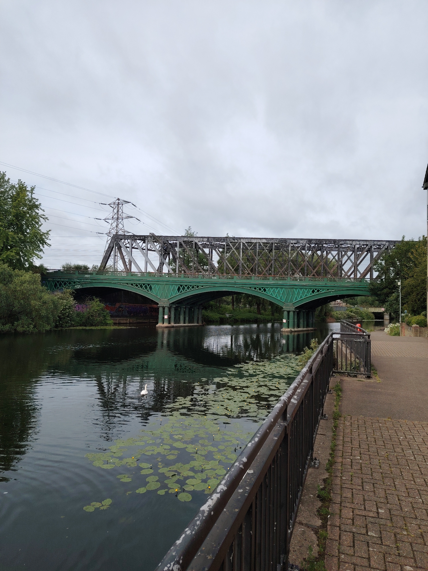 The image presents a detailed view of the River Nene in Peterborough, United Kingdom, under an overcast, light grey sky. In the foreground, a dark metal railing, exhibiting wear and white marks, parallels the river, separating it from a reddish-brown herringbone brick paved pedestrian path on the right. The river water is dark and calm, reflecting the sky and surrounding structures. Numerous green lily pads, several with small yellow blossoms, float on the water, primarily in the right foreground. A single white swan is observed swimming towards the left in the middle distance of the river.
Two bridges span the river. The lower structure is a dark green road bridge featuring multiple arches with decorative lattice-work along its side railings. Graffiti marks are visible on the concrete abutment beneath the leftmost arch on the riverbank. Positioned directly above and behind this road bridge is a weathered dark metal truss railway bridge.
On the left riverbank, dense green trees and bushes line the water's edge. Behind these trees and the lower bridge, a tall, grey metal lattice power pylon stands, supporting multiple power lines that extend across the upper portion of the frame, passing above the railway bridge. On the right riverbank, a red lifebuoy is mounted on a post beside the path, and a person wearing a red top is partially visible further down the paved walkway. The overall scene depicts a blend of natural riverine environment with significant urban infrastructure.