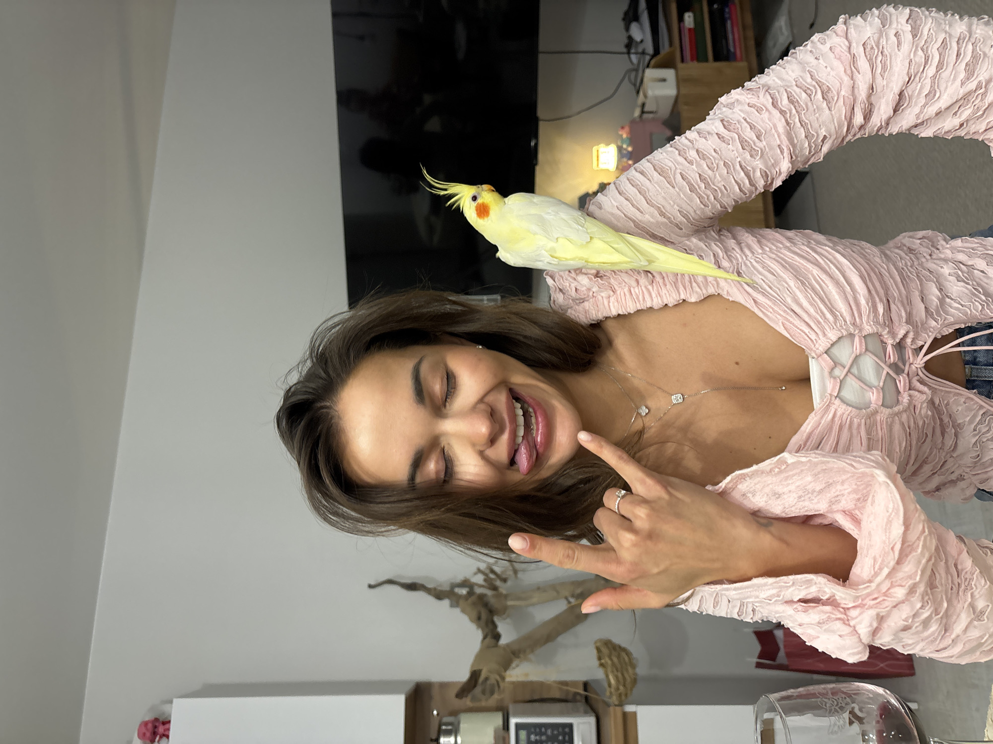 A playful indoor portrait features a young woman and a light yellow cockatiel. The image is rotated 90 degrees counter-clockwise, showing the woman positioned centrally, her head tilted to the left. She has long, dark brown hair and is captured mid-expression with her eyes closed, a wide, joyful smile, and her tongue sticking out. Her right hand is raised, making a "rock-and-roll" or "devil horns" gesture, revealing a ring on her ring finger. She wears a light pink, textured or ruched long-sleeved top with a laced-up front, and a delicate silver necklace with a clover-shaped pendant.
Perched comfortably on her raised left arm/shoulder is a vibrant light yellow cockatiel with distinct orange cheek patches and a prominent yellow crest. The bird appears calm and settled, looking upwards.
The background suggests a modern home interior, likely a living room or common area. A large, dark flat-screen television is visible behind the woman and bird. To the right of the TV, a wooden bookshelf holds various items and books. A small, glowing lamp emits a warm light from the shelf. Below the woman's face, a decorative piece of gnarled driftwood is seen. Further down, part of a white cabinet or counter is visible, along with what appears to be a microwave and other kitchen or living room items. An empty wine glass sits in the bottom right corner of the frame. The overall mood of the image is one of happiness and playful interaction between the woman and her pet bird, set within a residential space in Krasnoyarsk, Russia. There is no visible text in the image.