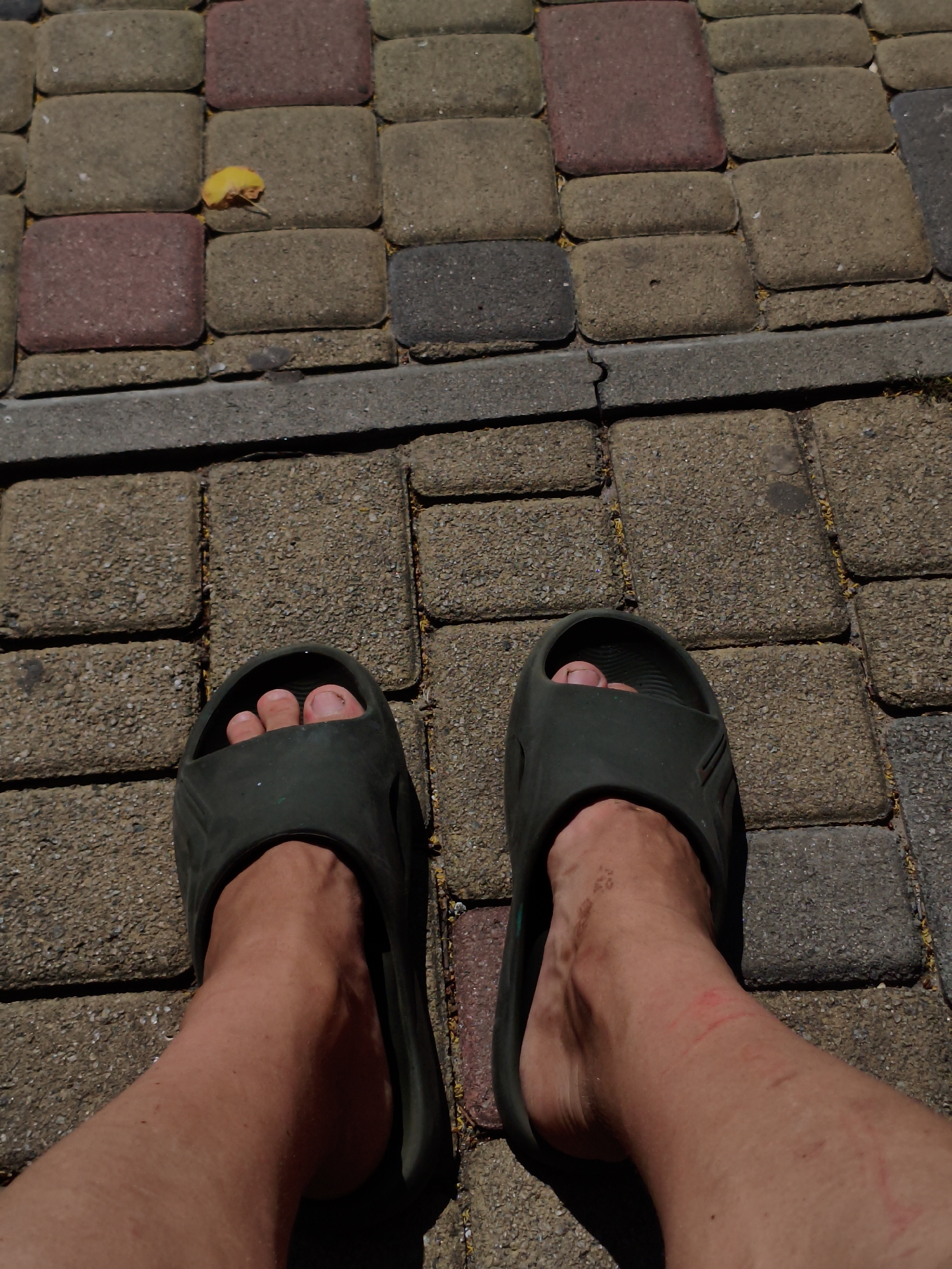 The image shows a person's feet wearing dark green slide sandals, standing on a paved walkway composed of rectangular interlocked bricks of varying colors, including red, grey, and tan. A single yellow leaf is visible on one of the bricks in the upper portion of the image. The ground appears to be outdoors.