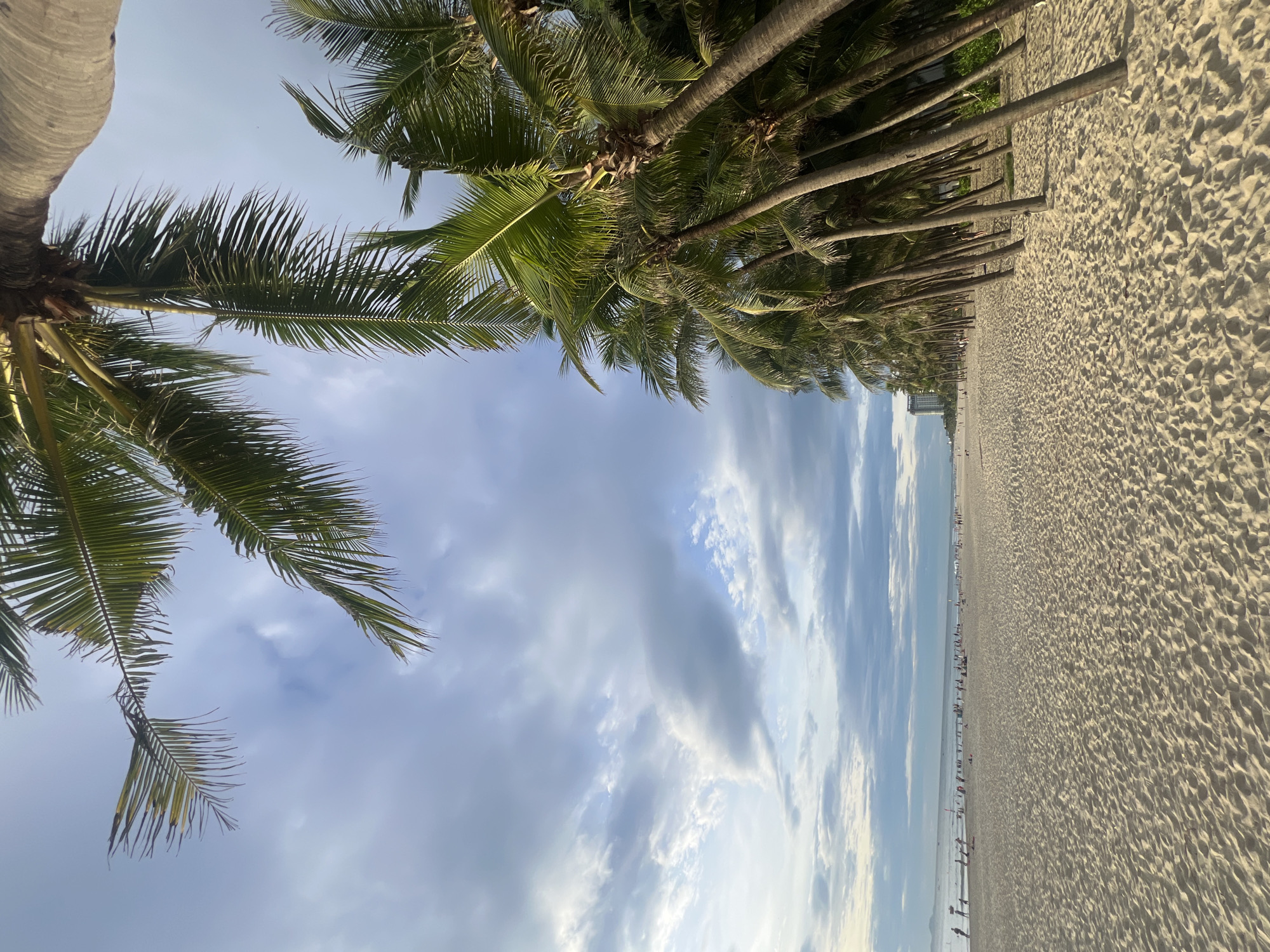 The image shows a sandy beach lined with palm trees in Đà Nẵng, Vietnam. In the foreground, the sand is textured with numerous footprints. To the right, a dense row of tall palm trees with green fronds stretches along the edge of the beach, their trunks casting shadows. In the distance, the ocean meets the horizon under a cloudy sky. The beach itself is populated with numerous people, some walking, others sitting, and some appearing to be engaged in various beach activities. A few structures, possibly buildings, are visible in the far distance to the left, near the coastline. The lighting suggests it may be late afternoon or early morning, with soft sunlight filtering through the clouds and illuminating the sand.