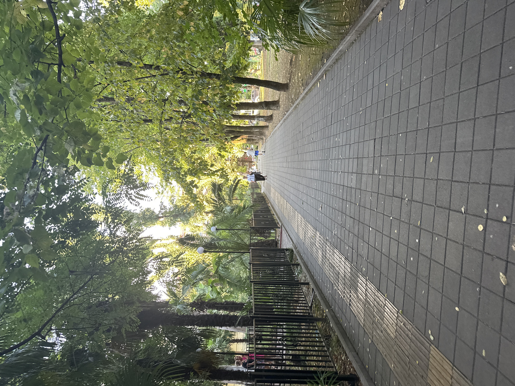 The image shows a paved walkway in a park in Sochi, Russia. The walkway is lined with trees on both sides, and there is a black metal fence along the left side of the walkway. Several people are walking on the path, and some are sitting on benches in the background. The sun is shining through the trees, casting shadows on the walkway. The park appears to be well-maintained, with lush greenery and a clean paved path. The overall scene depicts a pleasant and relaxing atmosphere in an urban park setting.