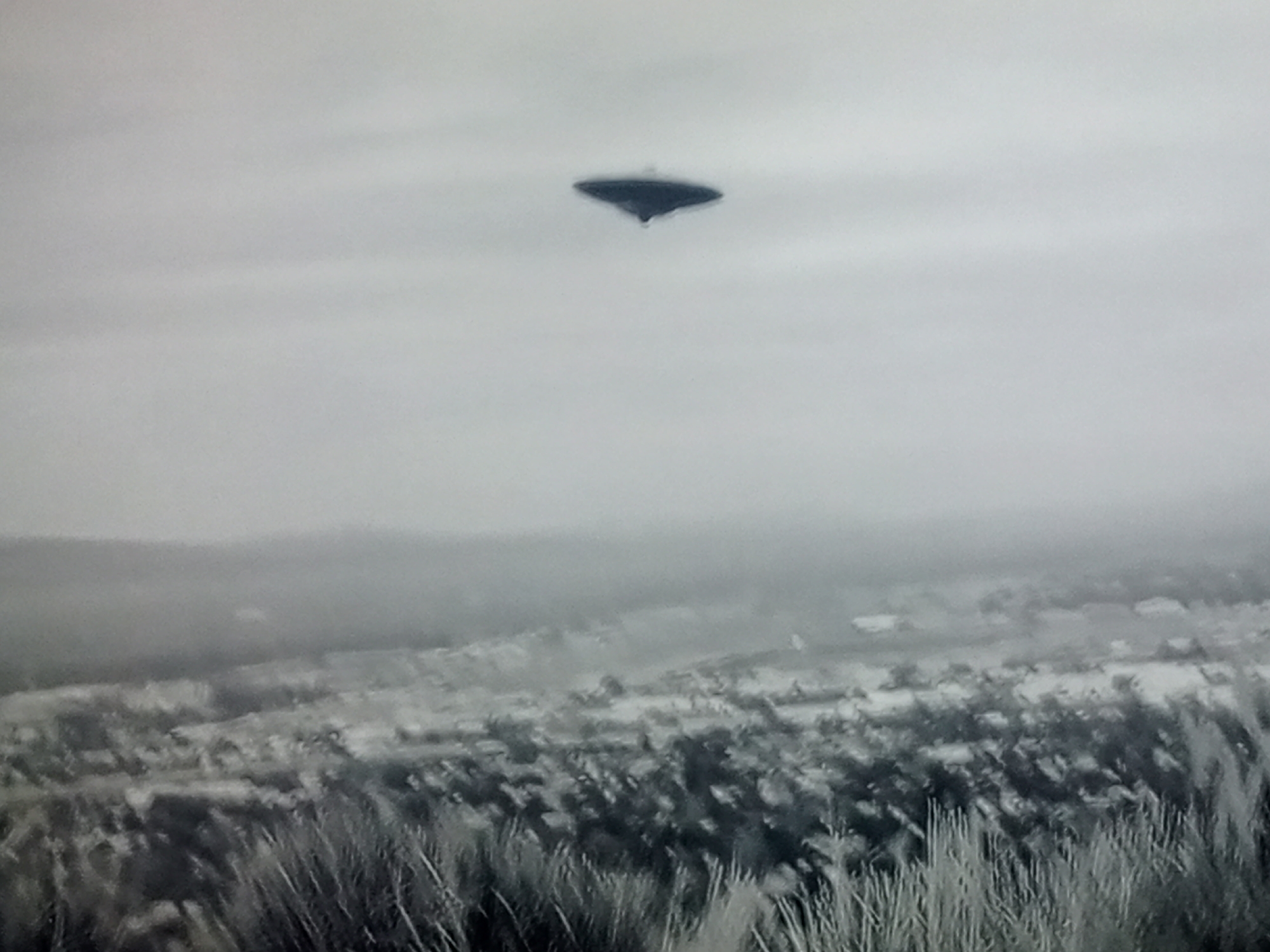 A dark, disc-shaped object is visible in the sky, positioned above a hazy landscape. The object appears to be a UFO, with a distinct underside and possibly a central dome. The ground below is covered in vegetation, with tall grasses in the foreground and more distant, blurred foliage and structures in the background, suggesting a rural or semi-urban environment. The sky is overcast and the overall lighting is dim and diffused, contributing to the mystery of the scene.