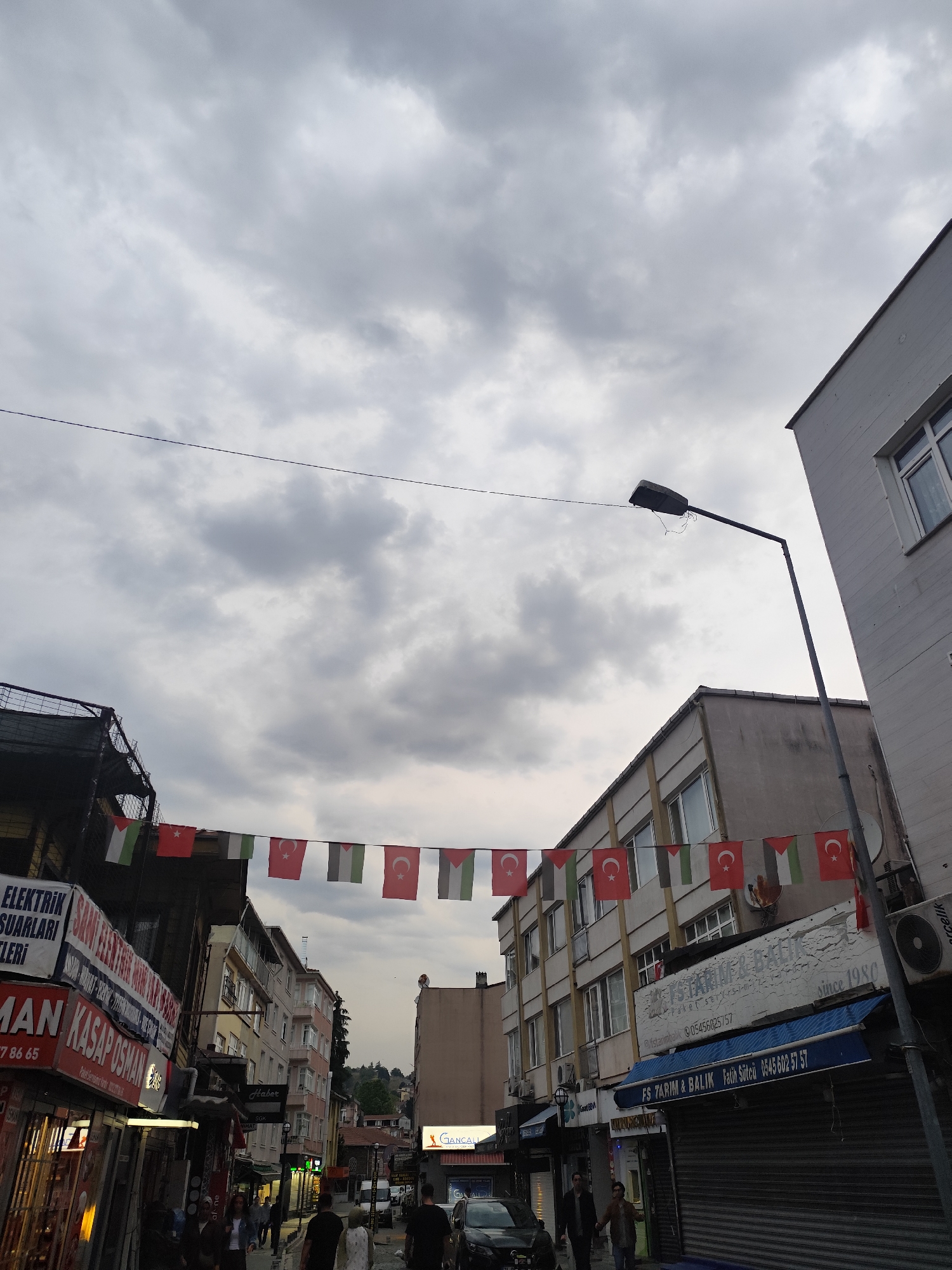 The image depicts a street scene in Sarıyer, Turkey, characterized by a cloudy sky overhead. A string of alternating Turkish and Palestinian flags is strung across the street. Several buildings line both sides of the street, with storefronts visible at street level. Pedestrians can be seen walking along the street. A street lamp is positioned on the right side of the image. Visible signage includes "ELEKTRİK SUARLARI," "KASAP OSMAN," and "FS TARIM & BALIK." A car is visible further down the street.