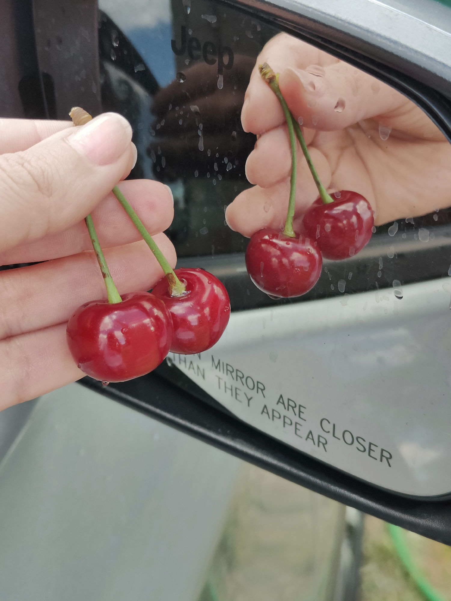 A person's hand is holding a small cluster of three bright red cherries with green stems, with the cherries positioned in the foreground. The cherries are glistening with water droplets. In the background, reflected in a car's side mirror, is the same hand and cherries, along with a partial reflection of the person's face and the word "Jeep" on the vehicle. The car mirror also has text that reads "MIRROR ARE CLOSER THAN THEY APPEAR". The environment appears to be outdoors, possibly near a green grassy area, suggesting a location in Unknown, Unknown.