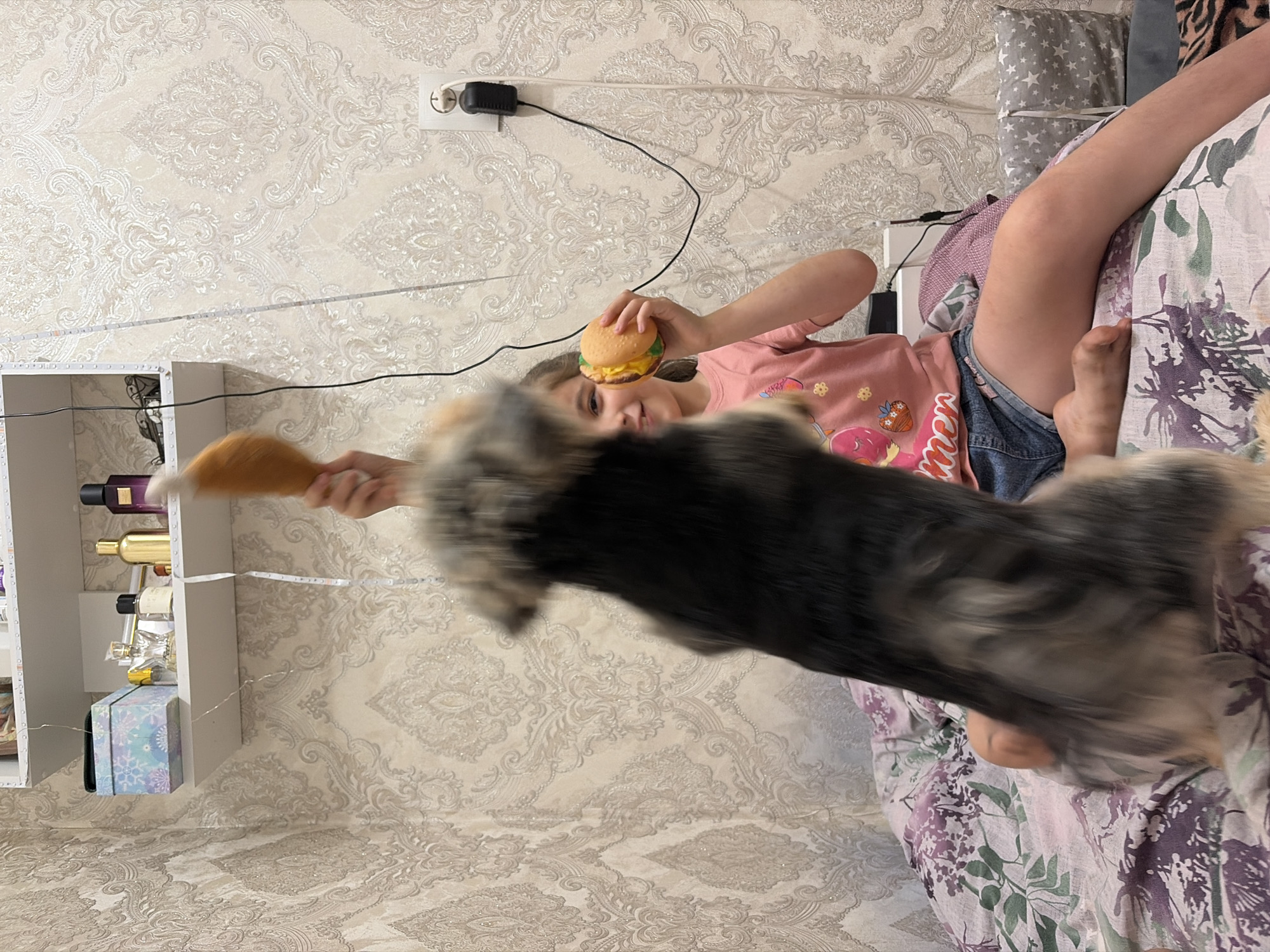 In Tambov, Russia, a young girl with dark hair, wearing a pink t-shirt and denim shorts, sits on a bed with a floral print duvet. She is holding a toy hamburger in her right hand and a brown toy in her left hand, which appears to be a dog toy. A dog, mostly a blur of motion, is jumping towards the toy in her left hand. The background shows a patterned wallpaper and a shelf above the bed with various items, including decorative boxes and bottles. An electrical outlet and a cord are visible on the wall to the right.